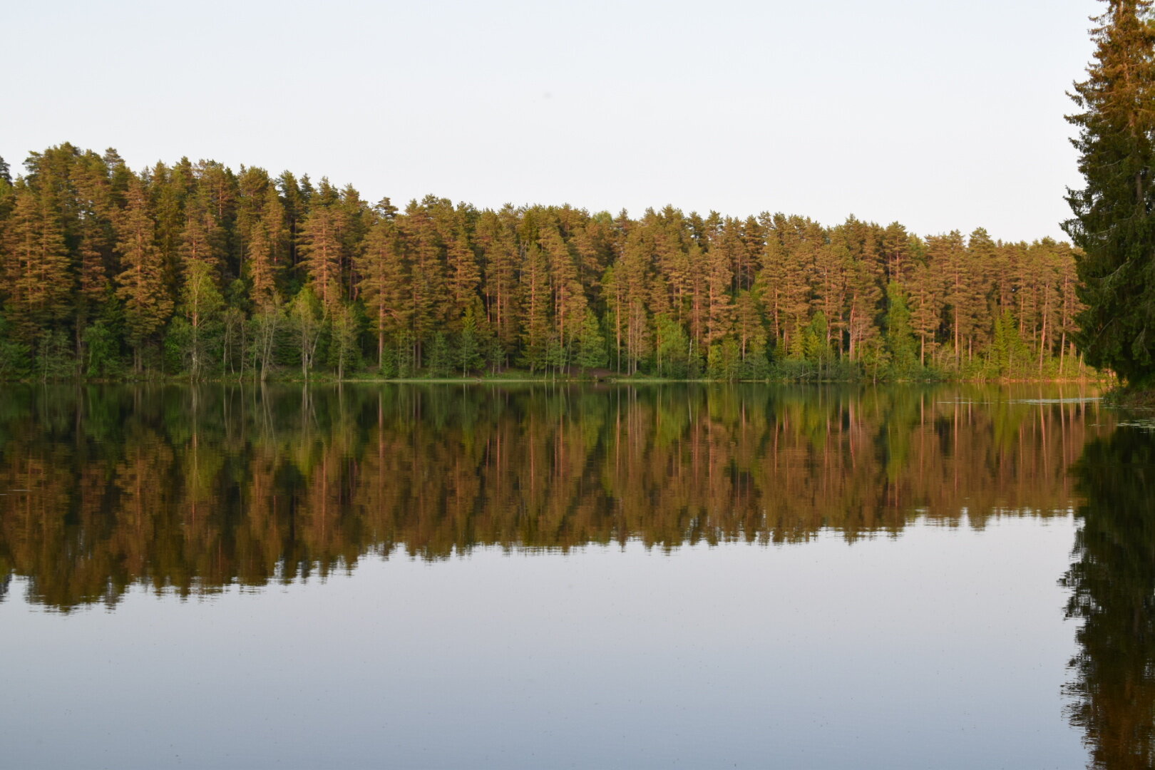 Фото Домик на горке