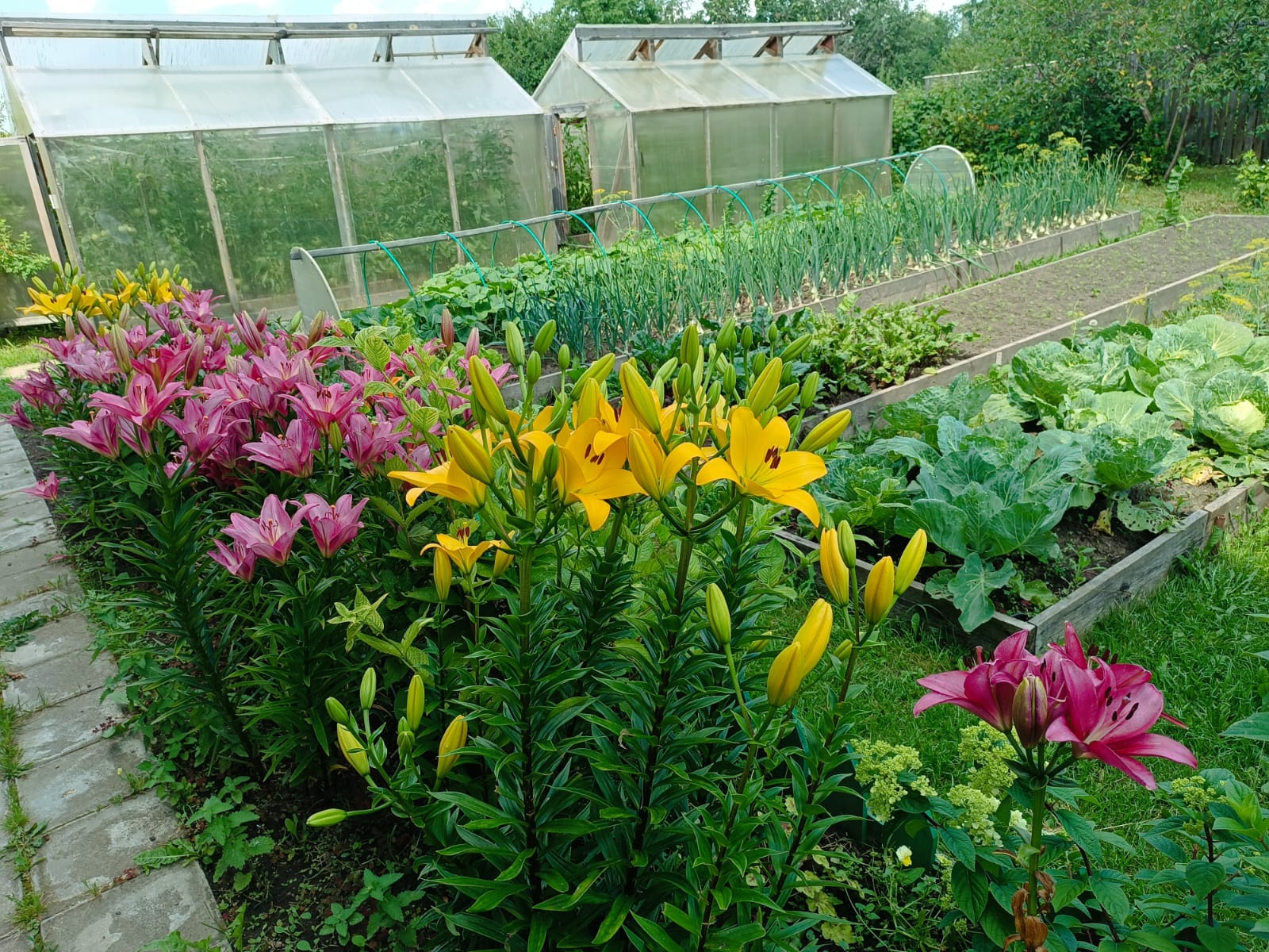 Фото Эко-хаус у реки