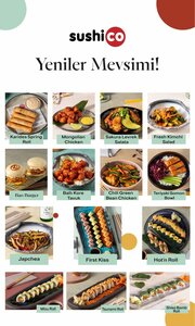 SushiCo Etiler (Istanbul, Besiktas, Nisbetiye Avenue, 54/157), sushi bar