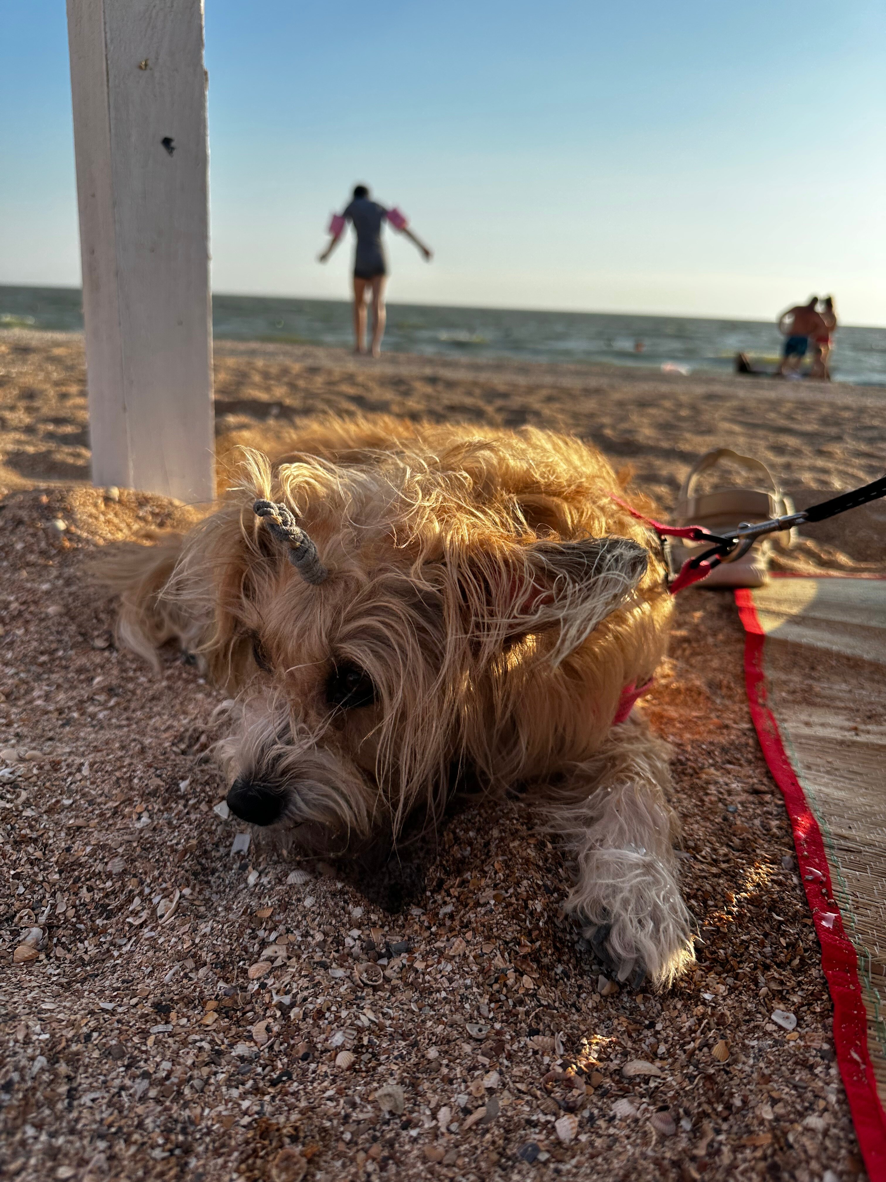 Фото Кондоминиум