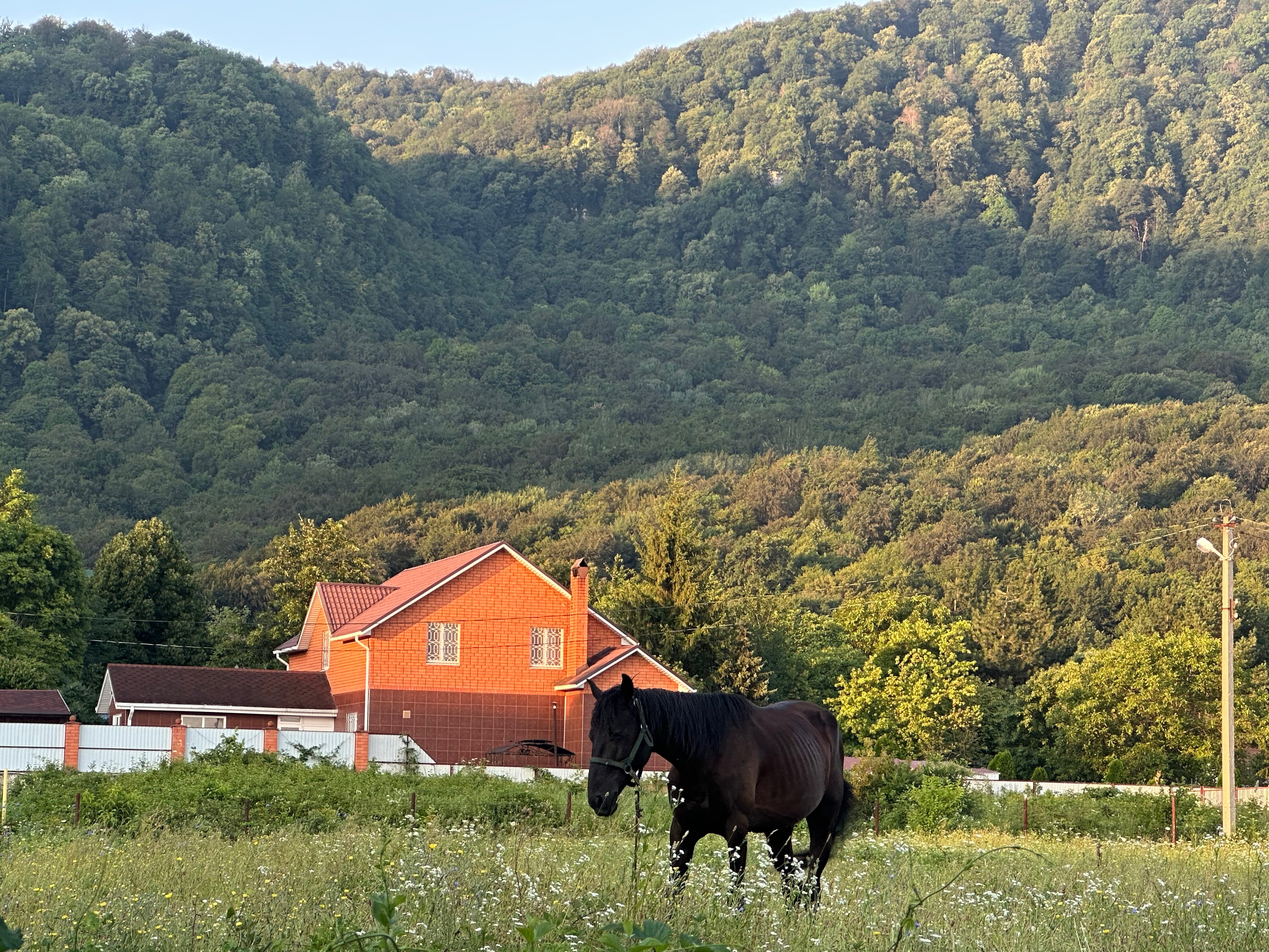 Фото Теремок