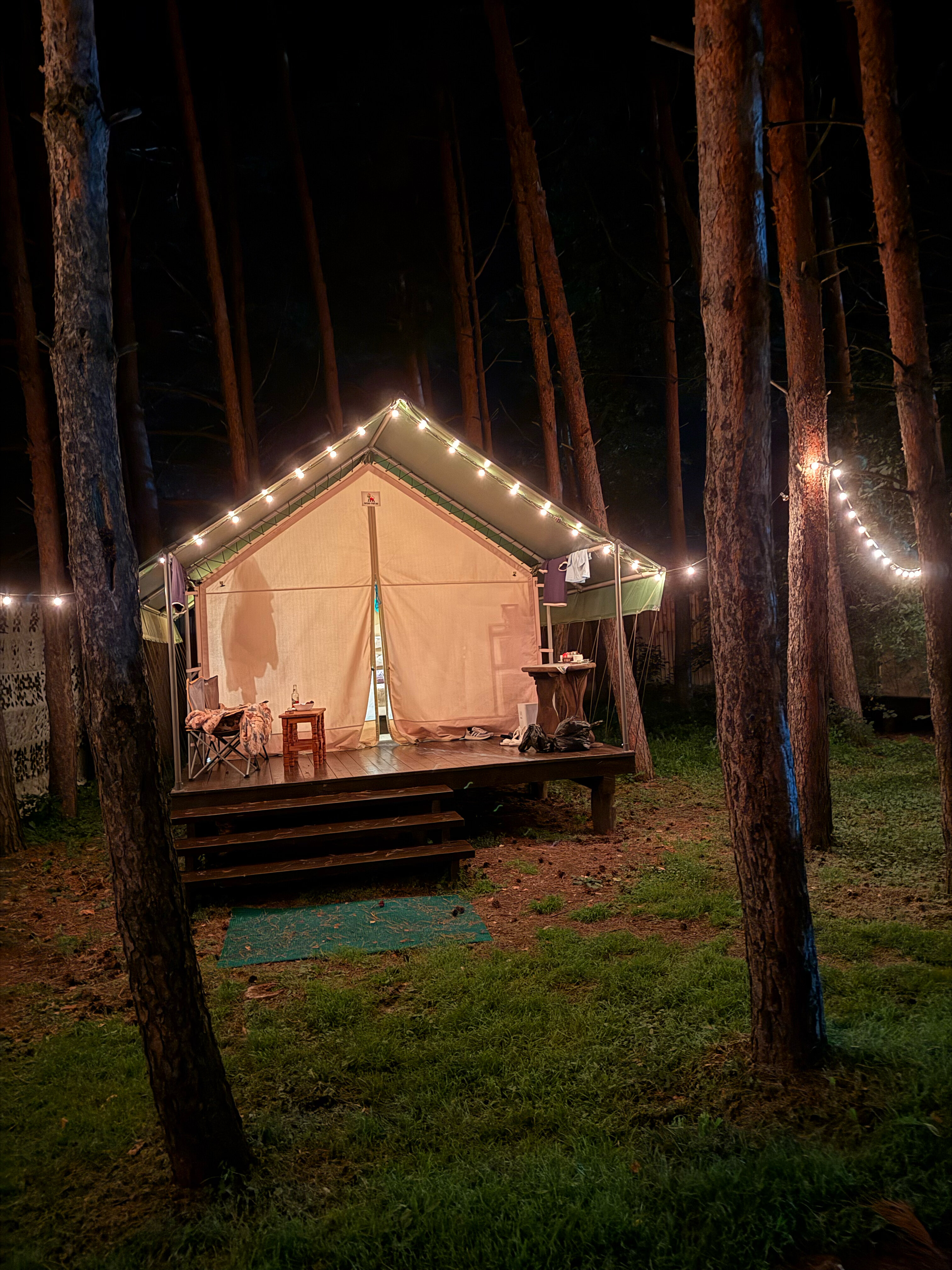 Фото Лесная семья