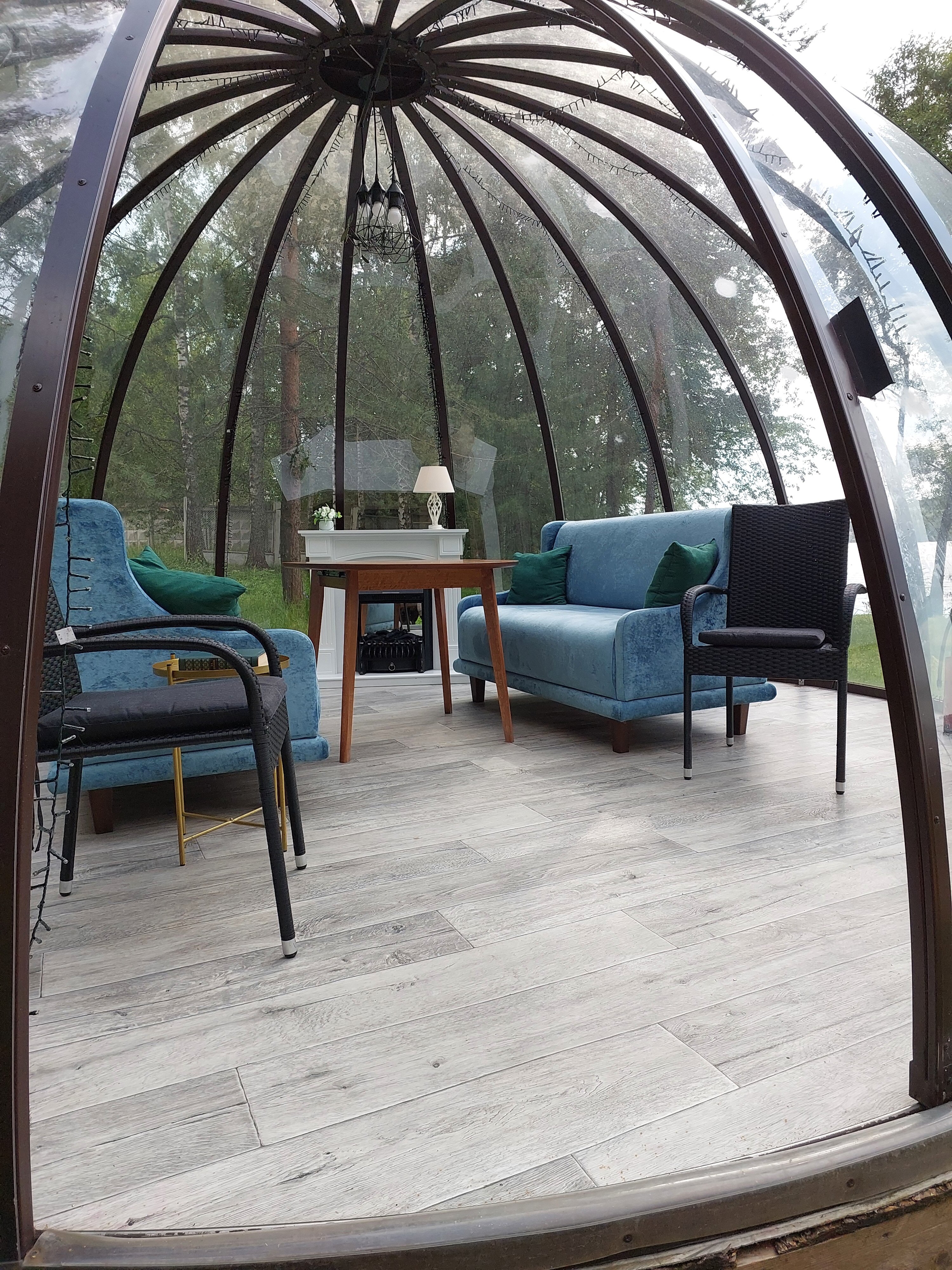 Фото Хвоя Бестужево