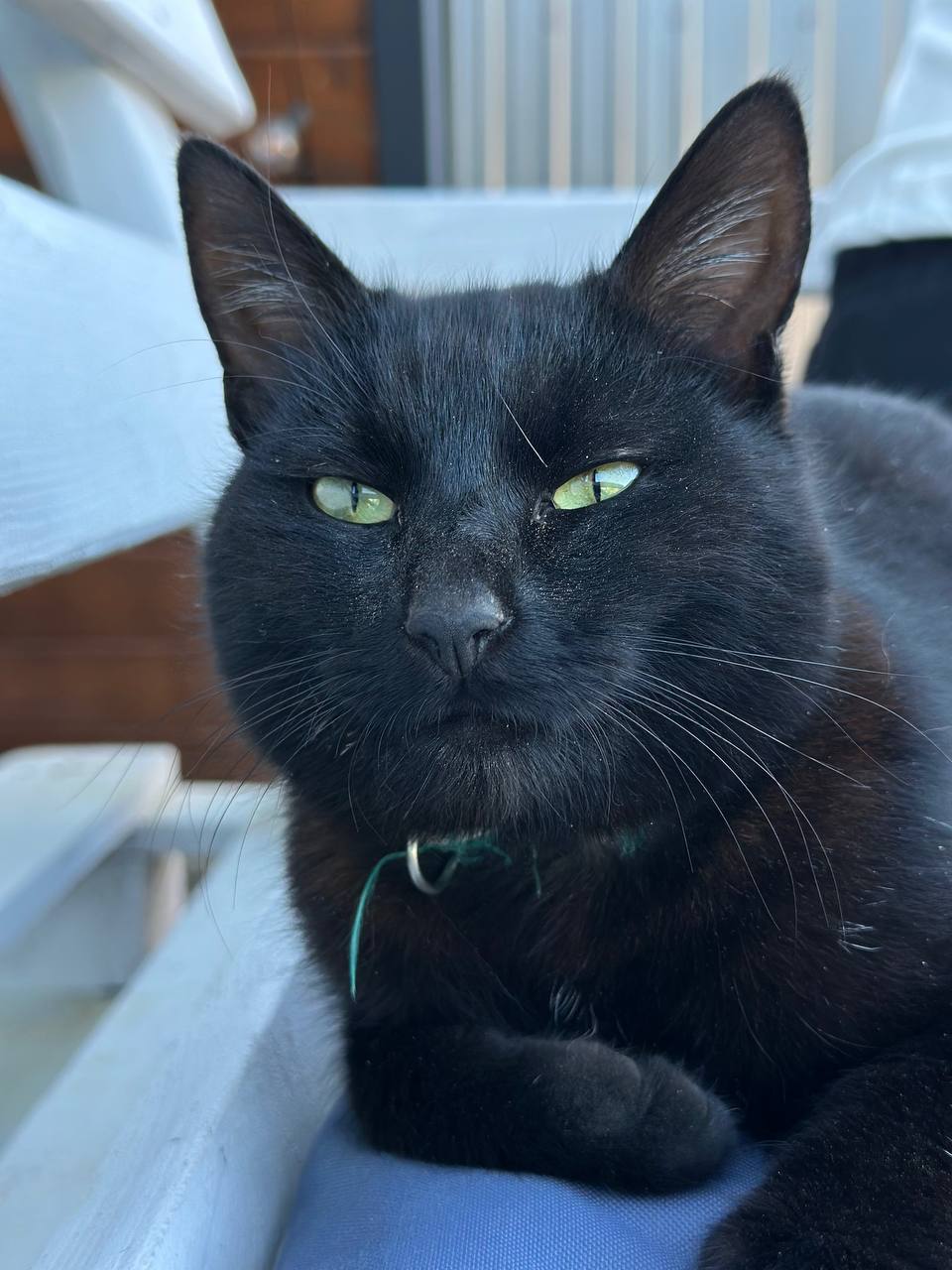 Фото Варилка