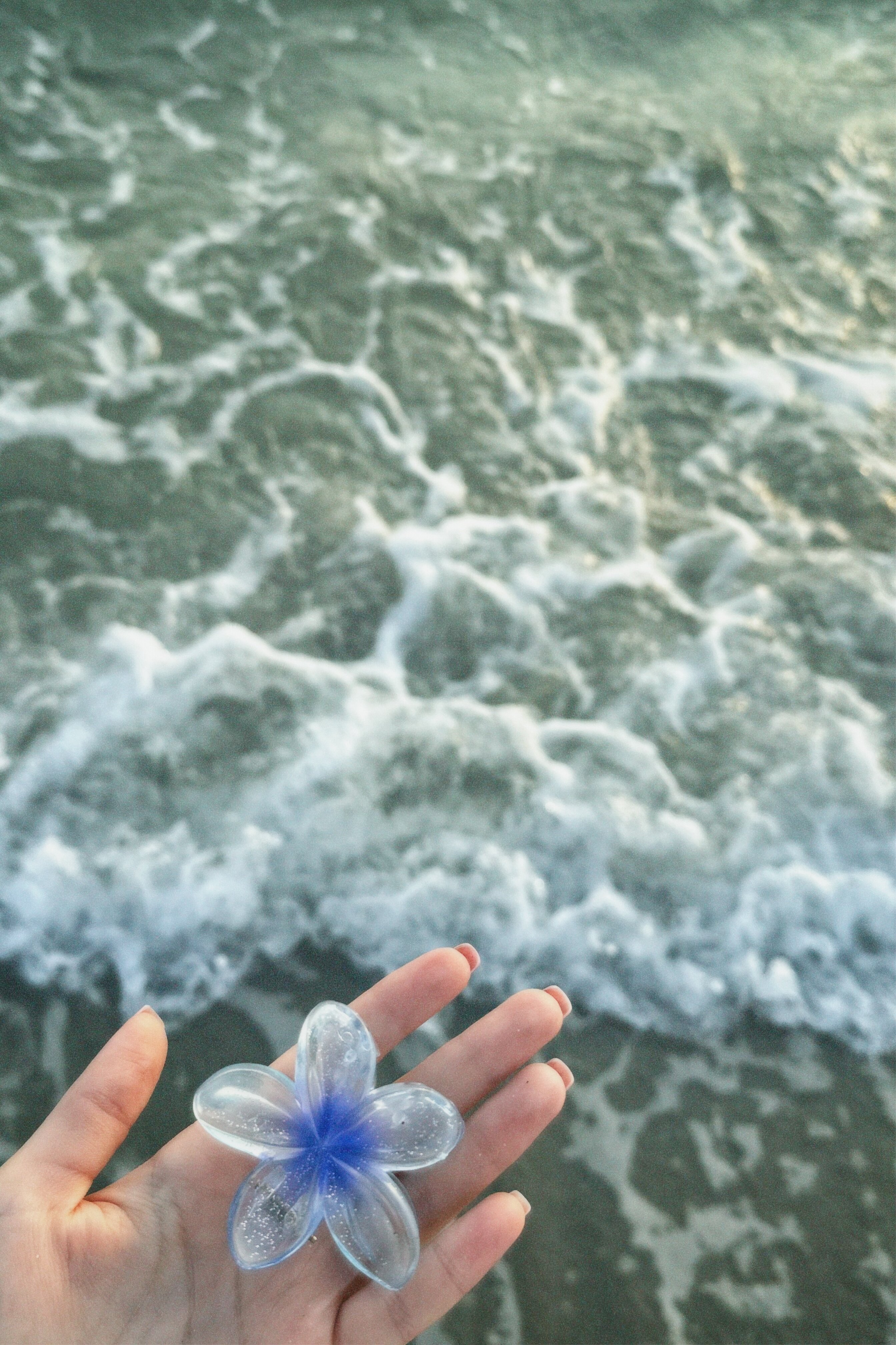 Фото Palm Beach Resort