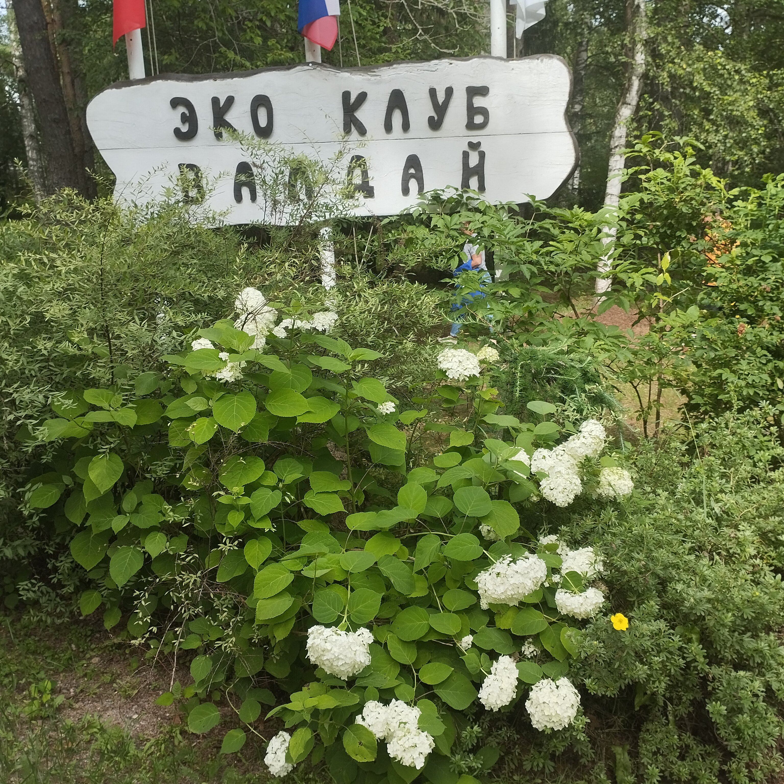 Фото Валдай Эко-Клуб