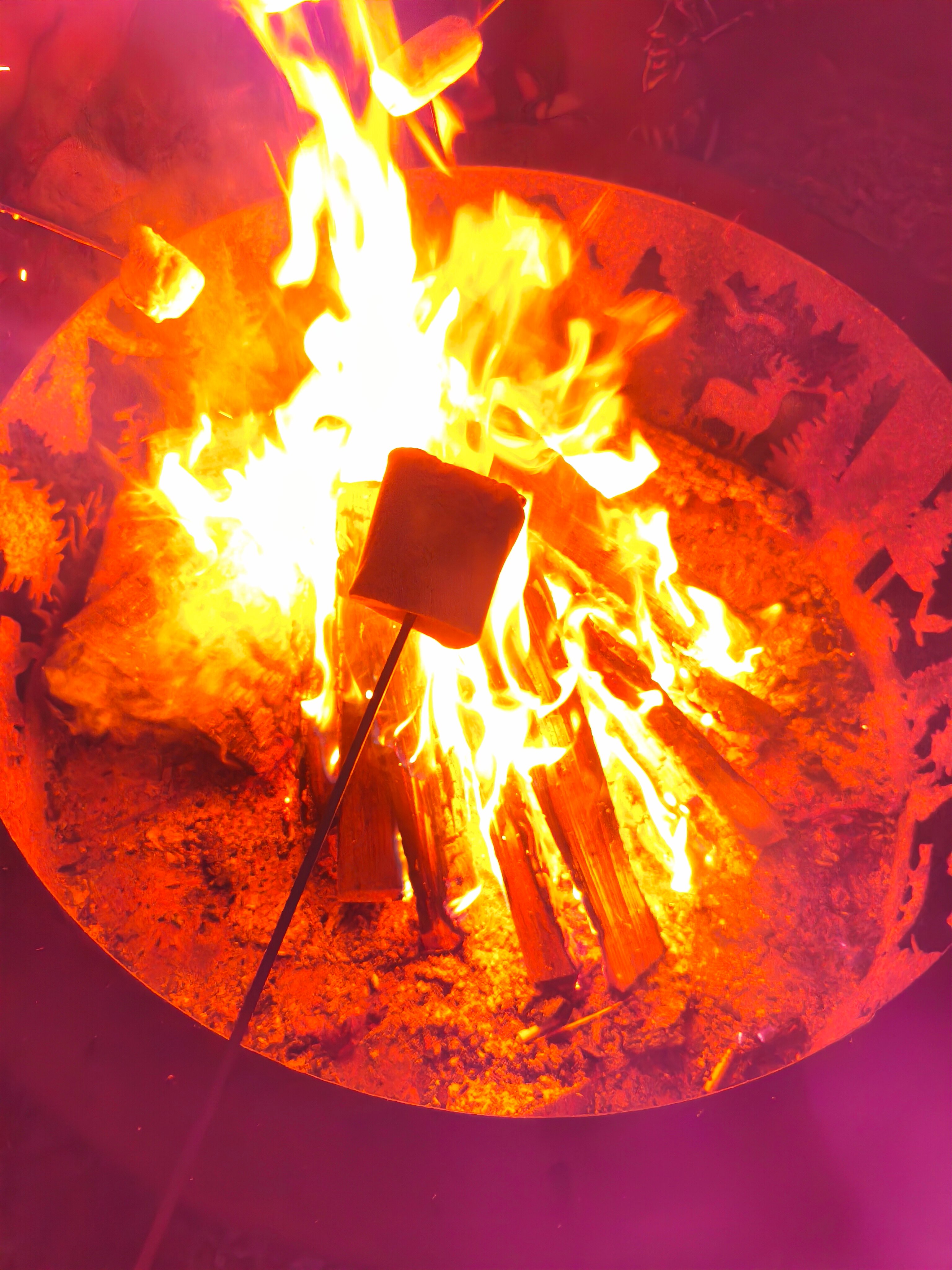 Фото Солнечная