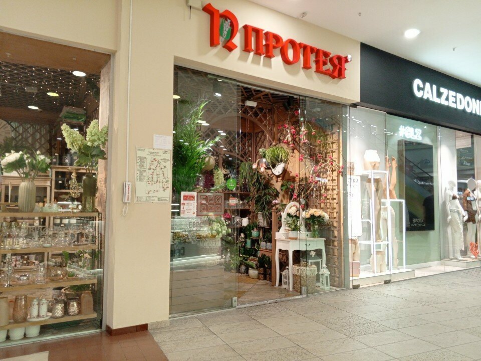Flower shop Proteya, Kaliningrad, photo