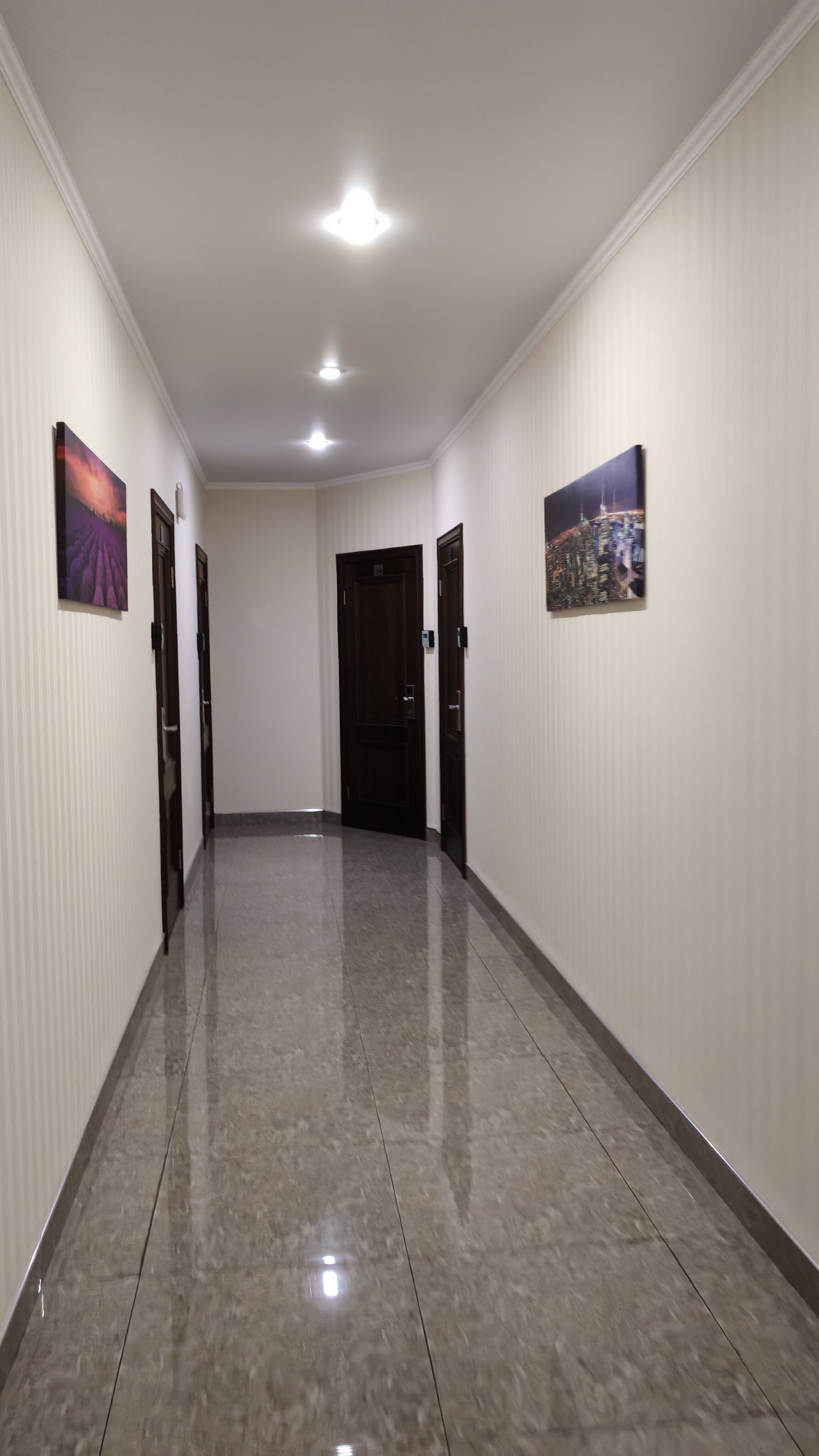 Фото Камелия