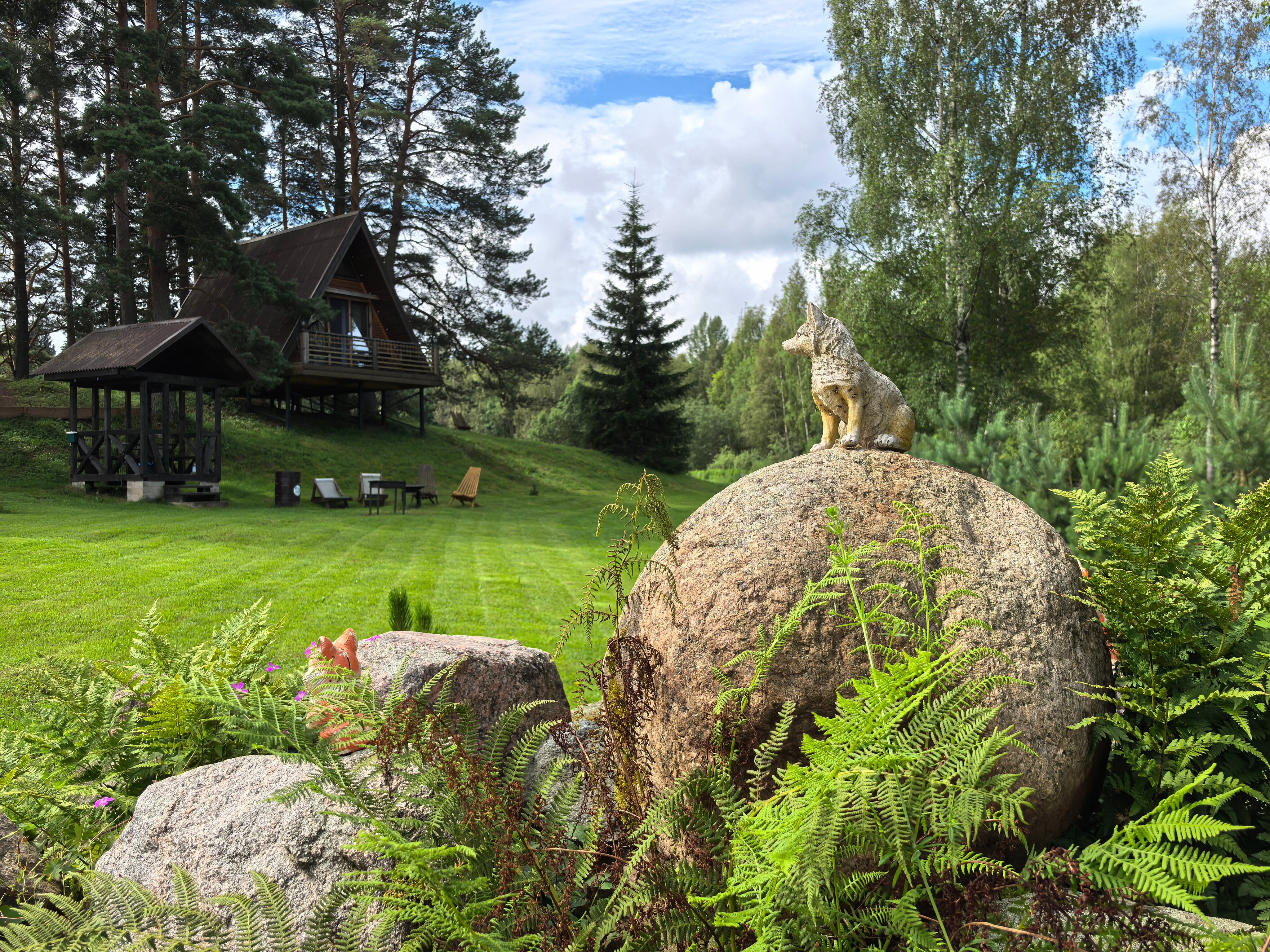 Фото Сосновая роща