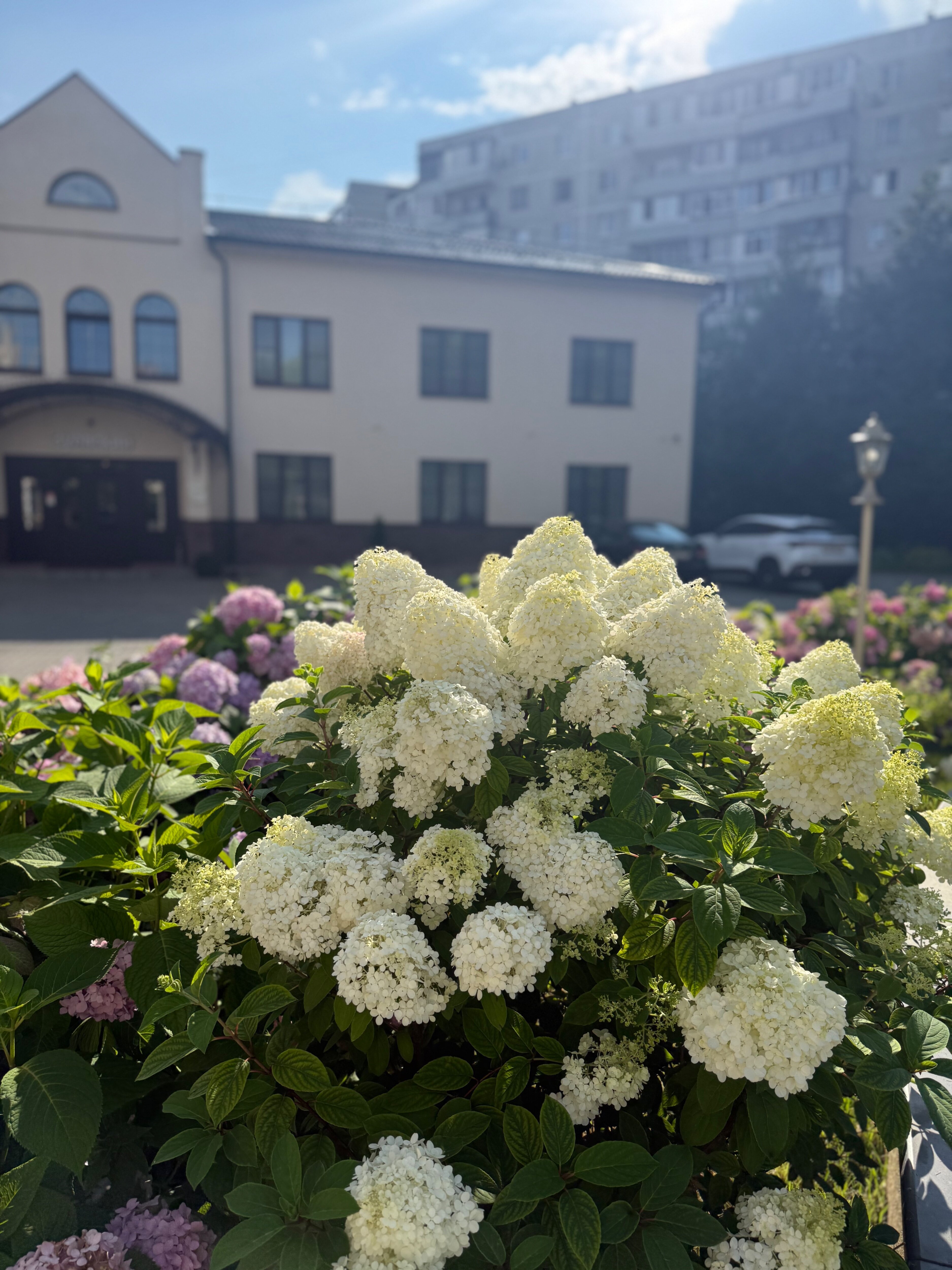 Фото Зуевский