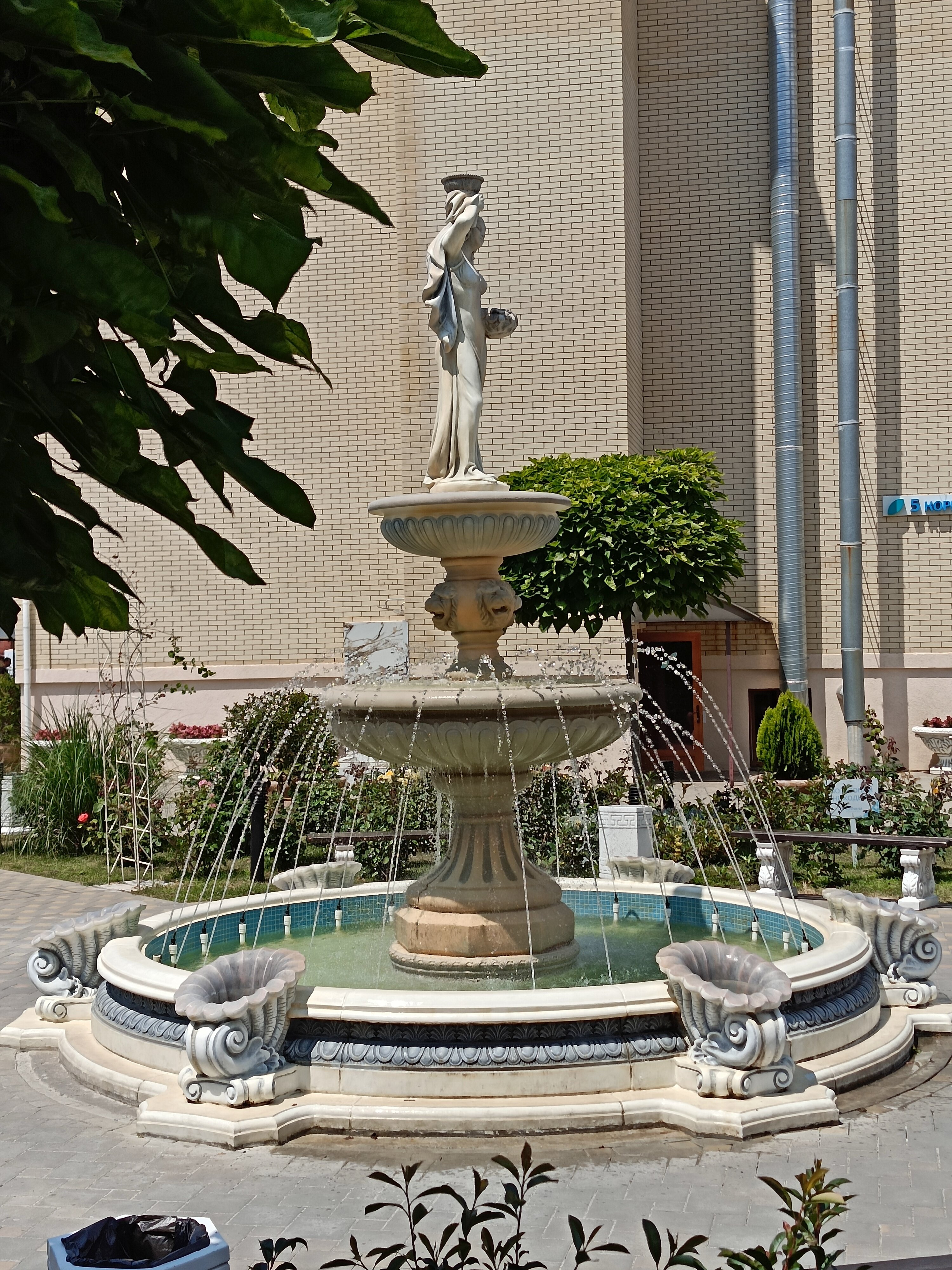 Фото МоРеми