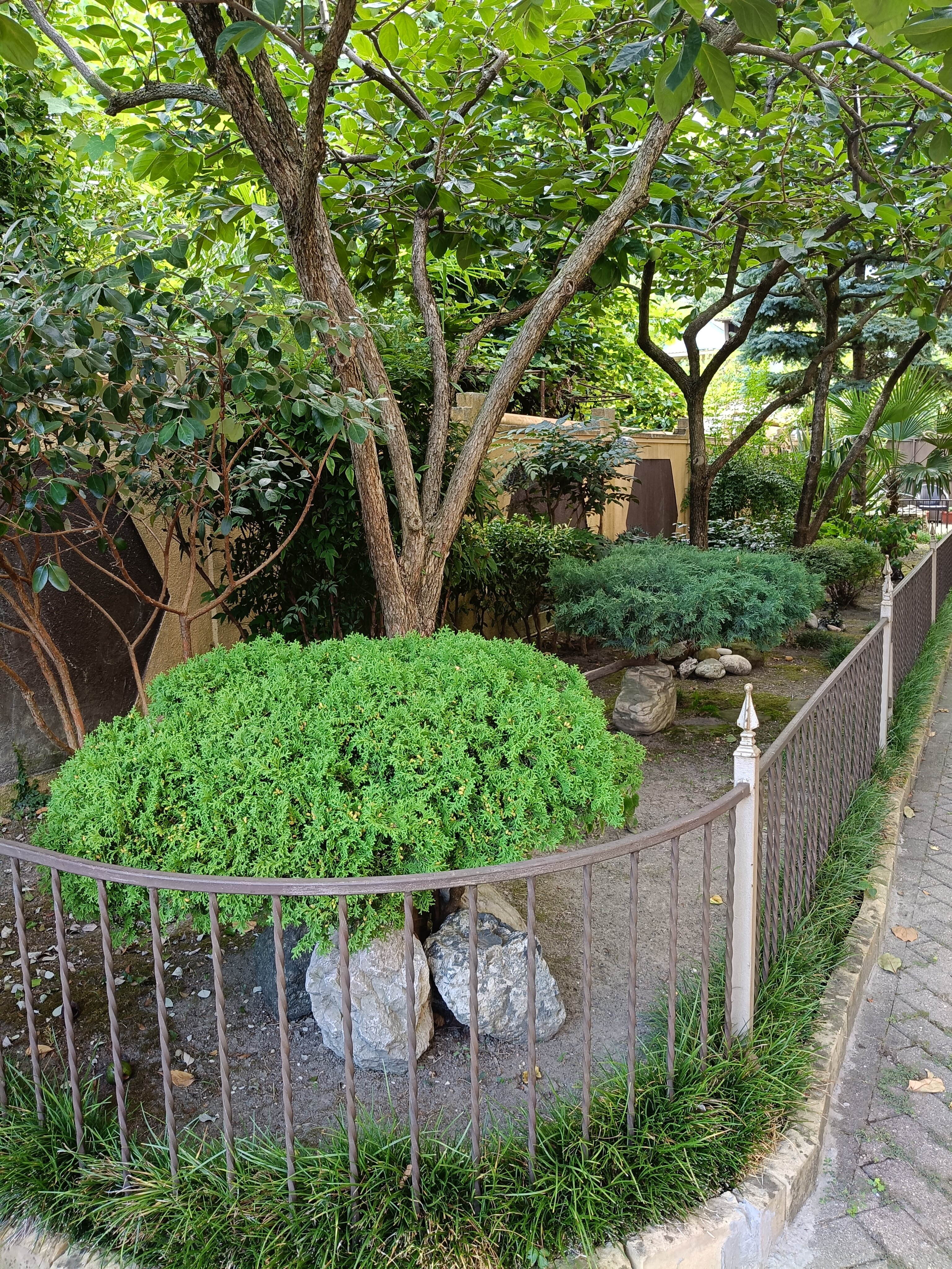 Фото Ключевой 9