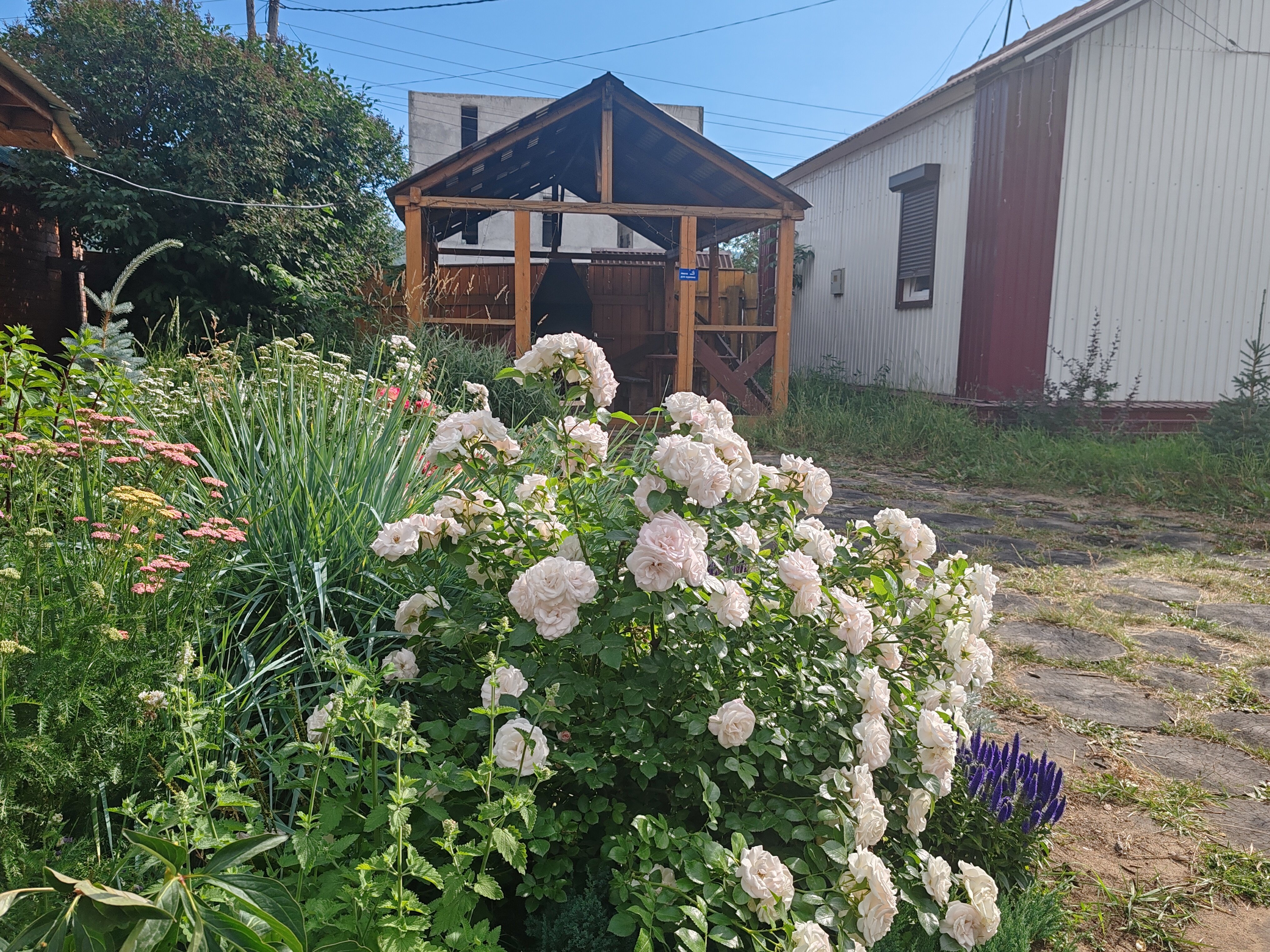 Фото Семейный