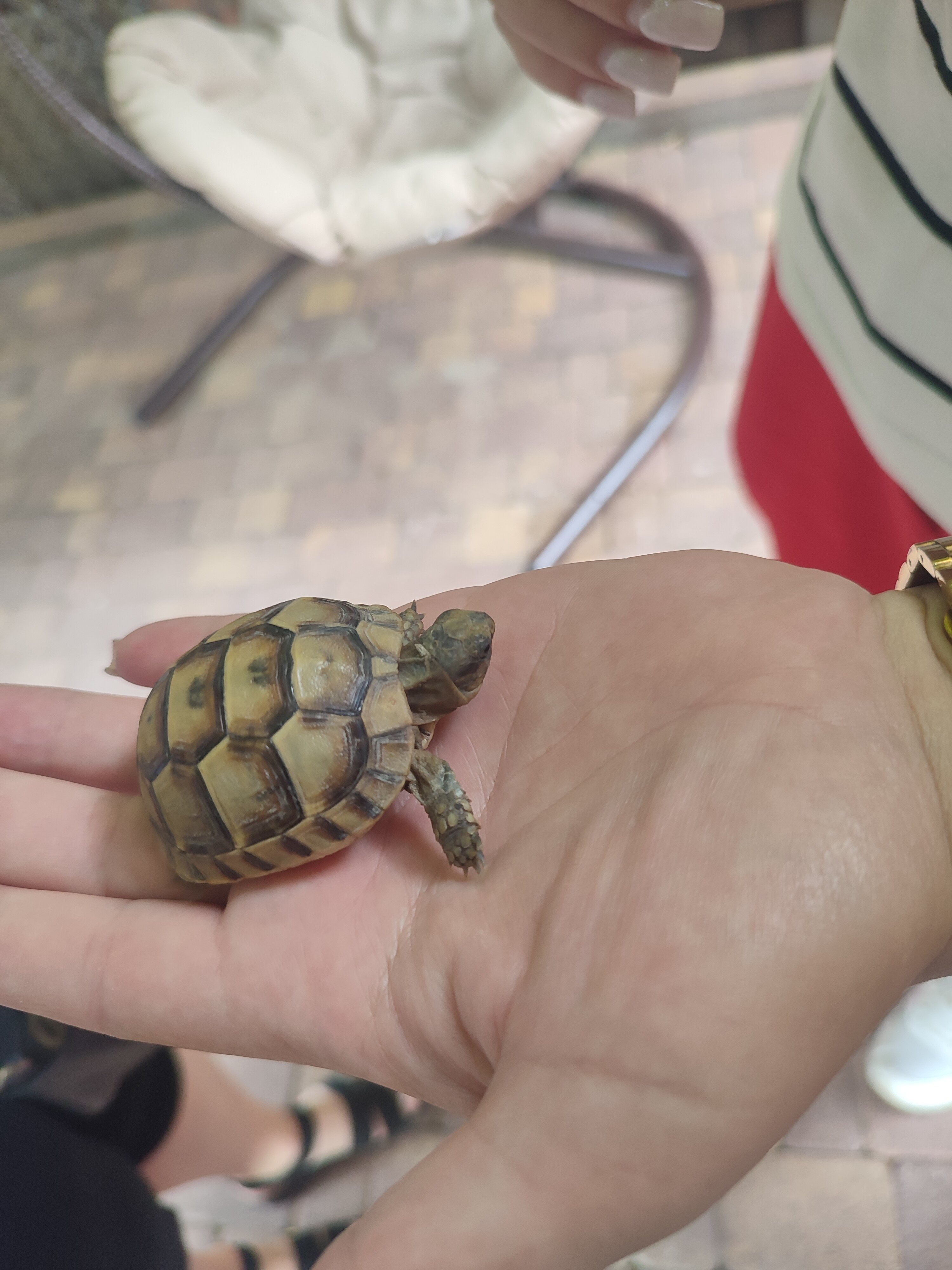 Фото Приморский