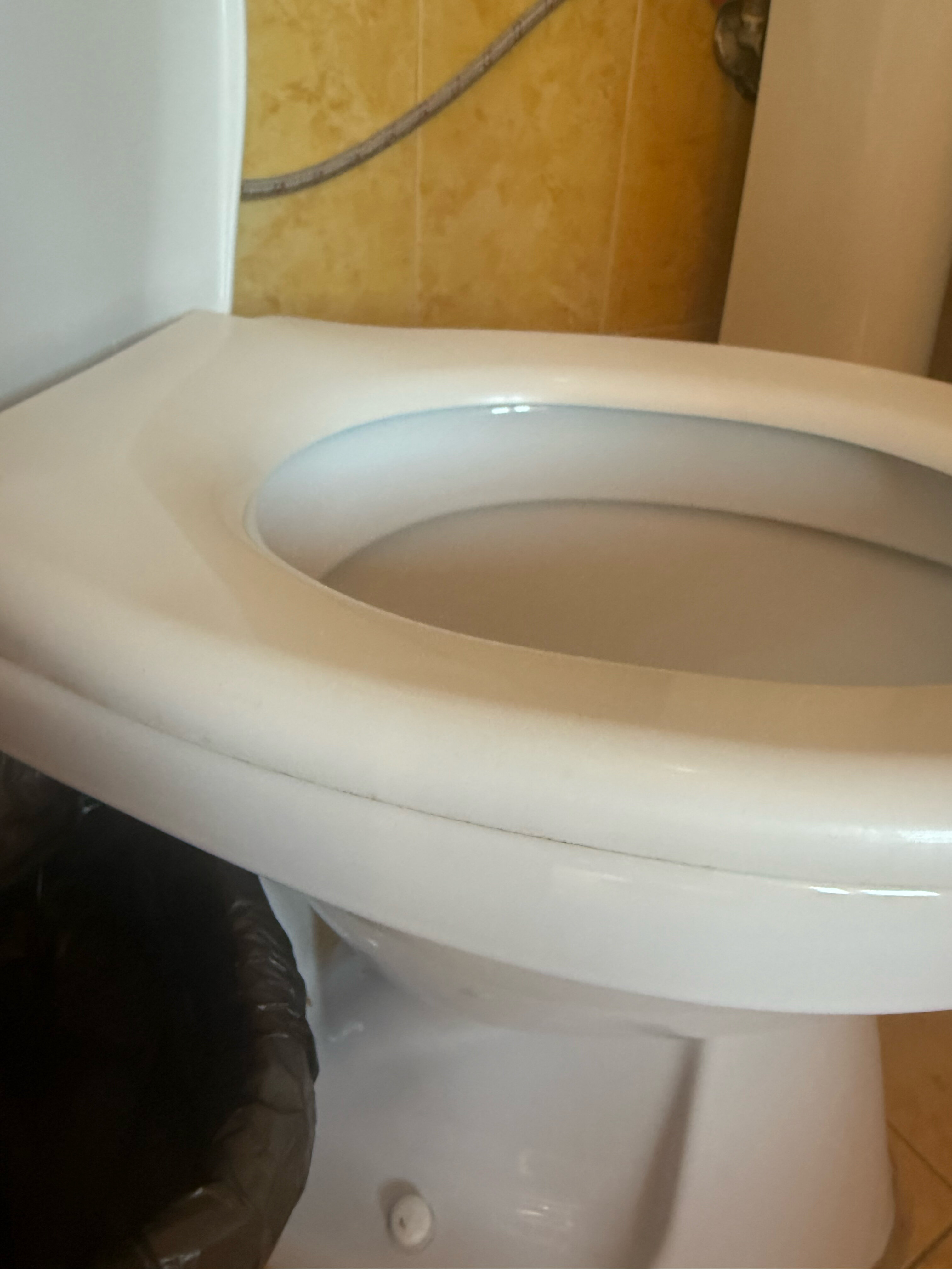 Фото Форвард