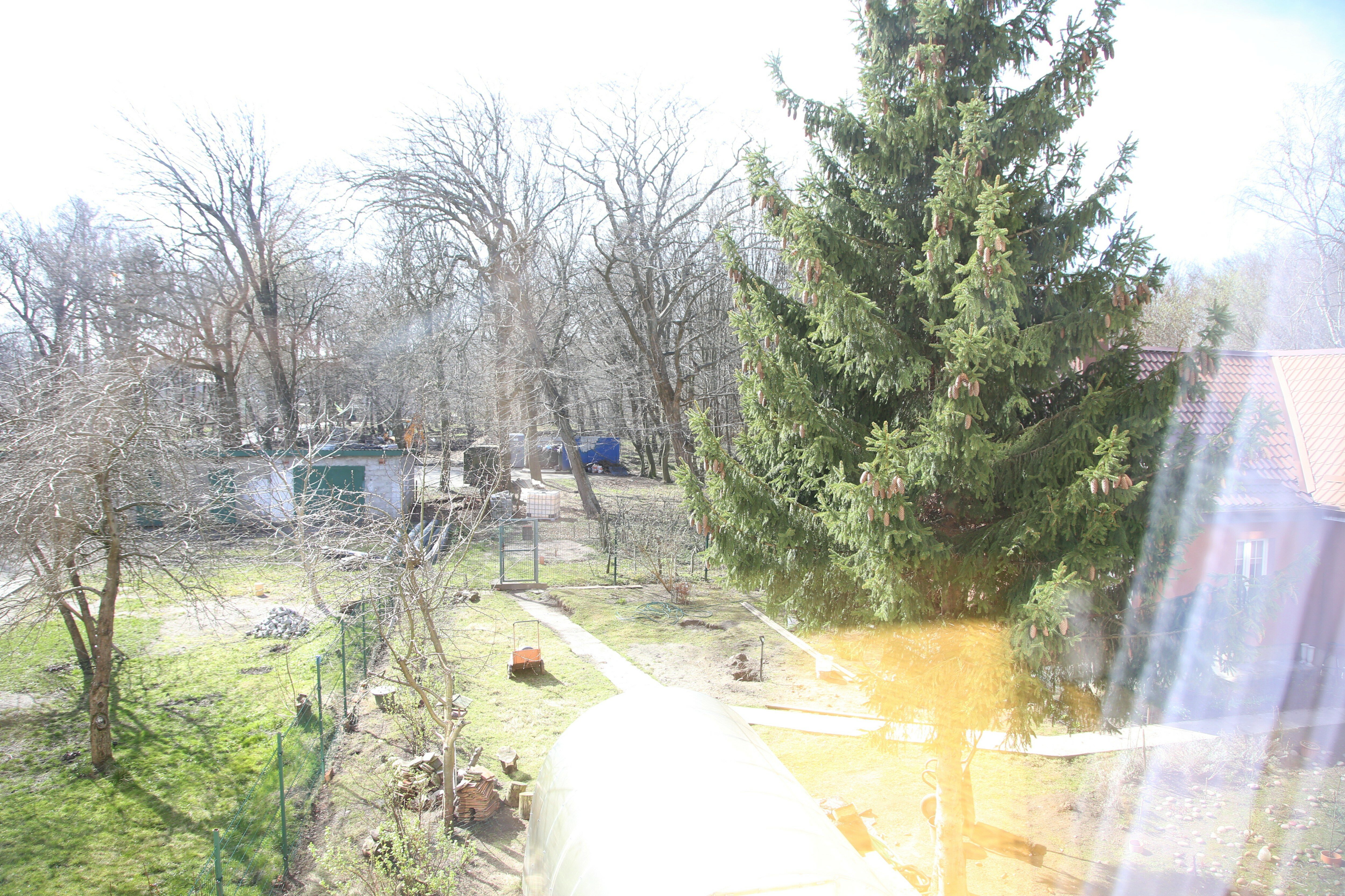 Фото ArtistApart Van Gogh