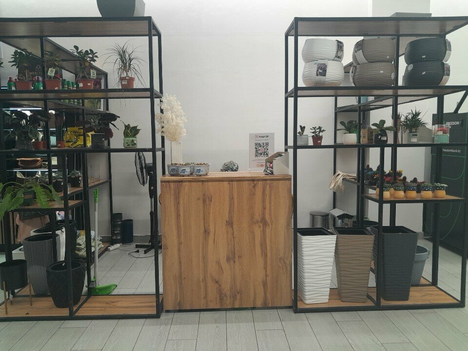 Gardening shop Joy Gardens, Astana, photo