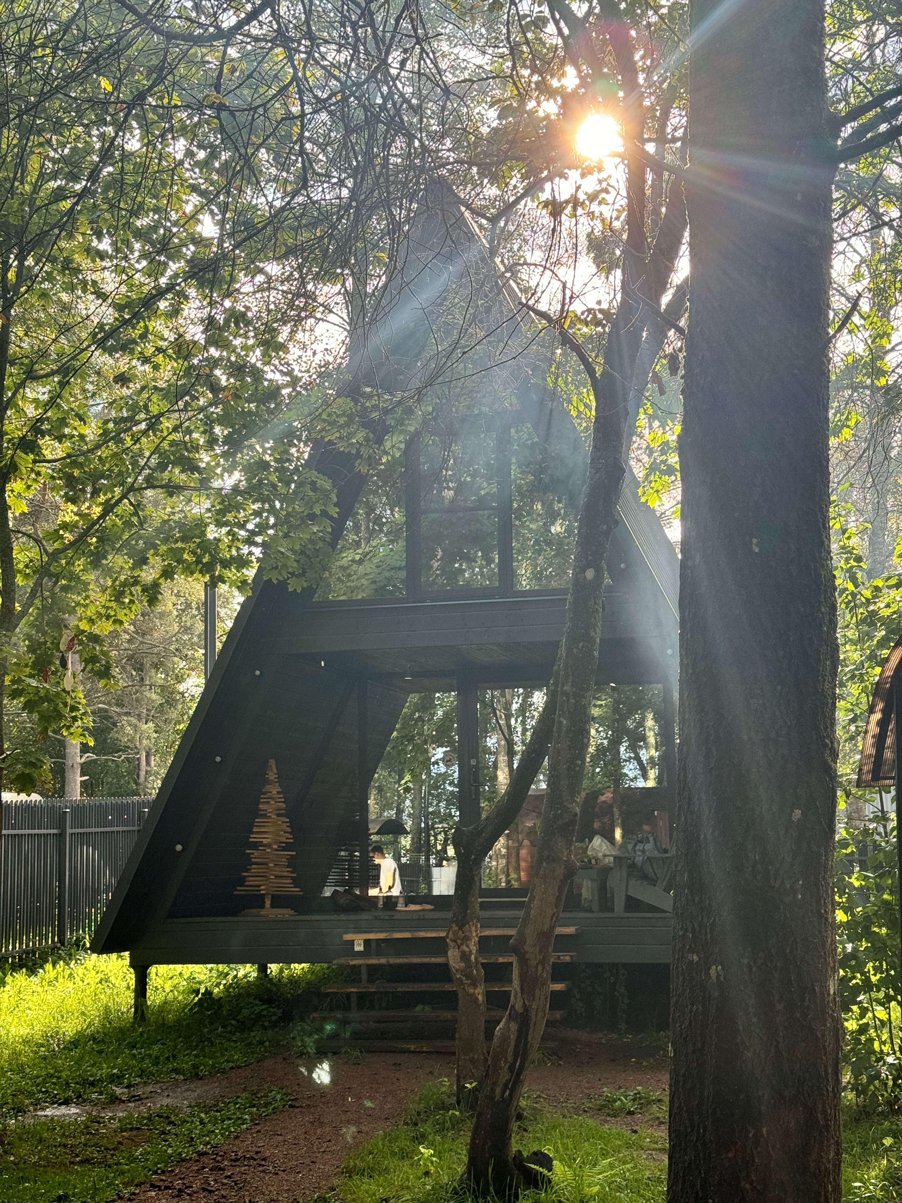 Фото Ёlki в Правдинское озеро