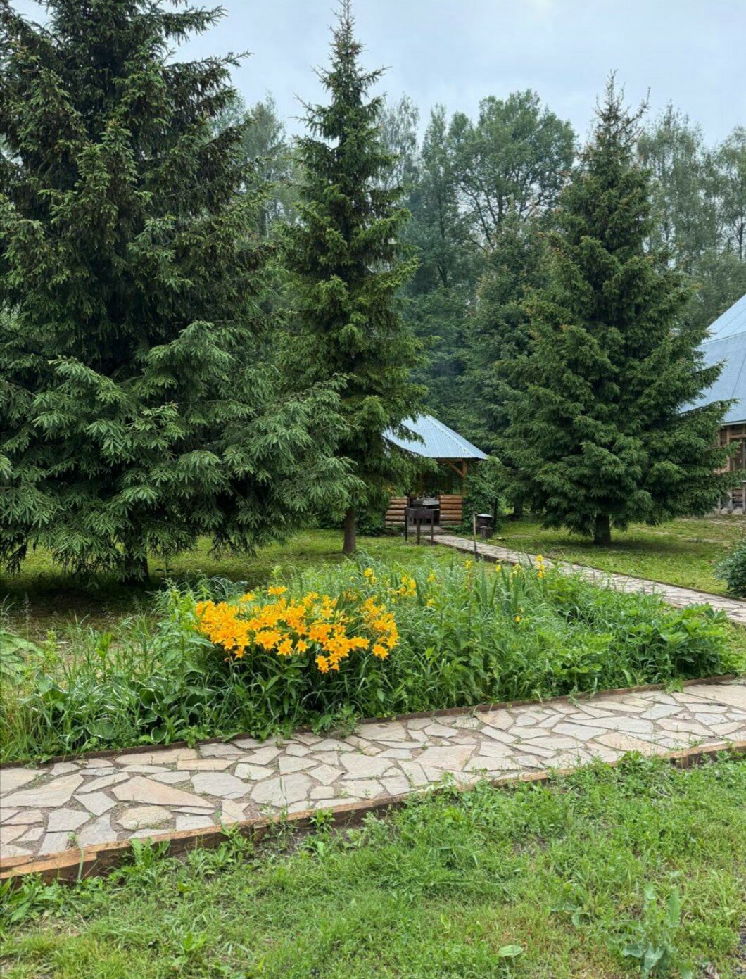 Фото Романов дача