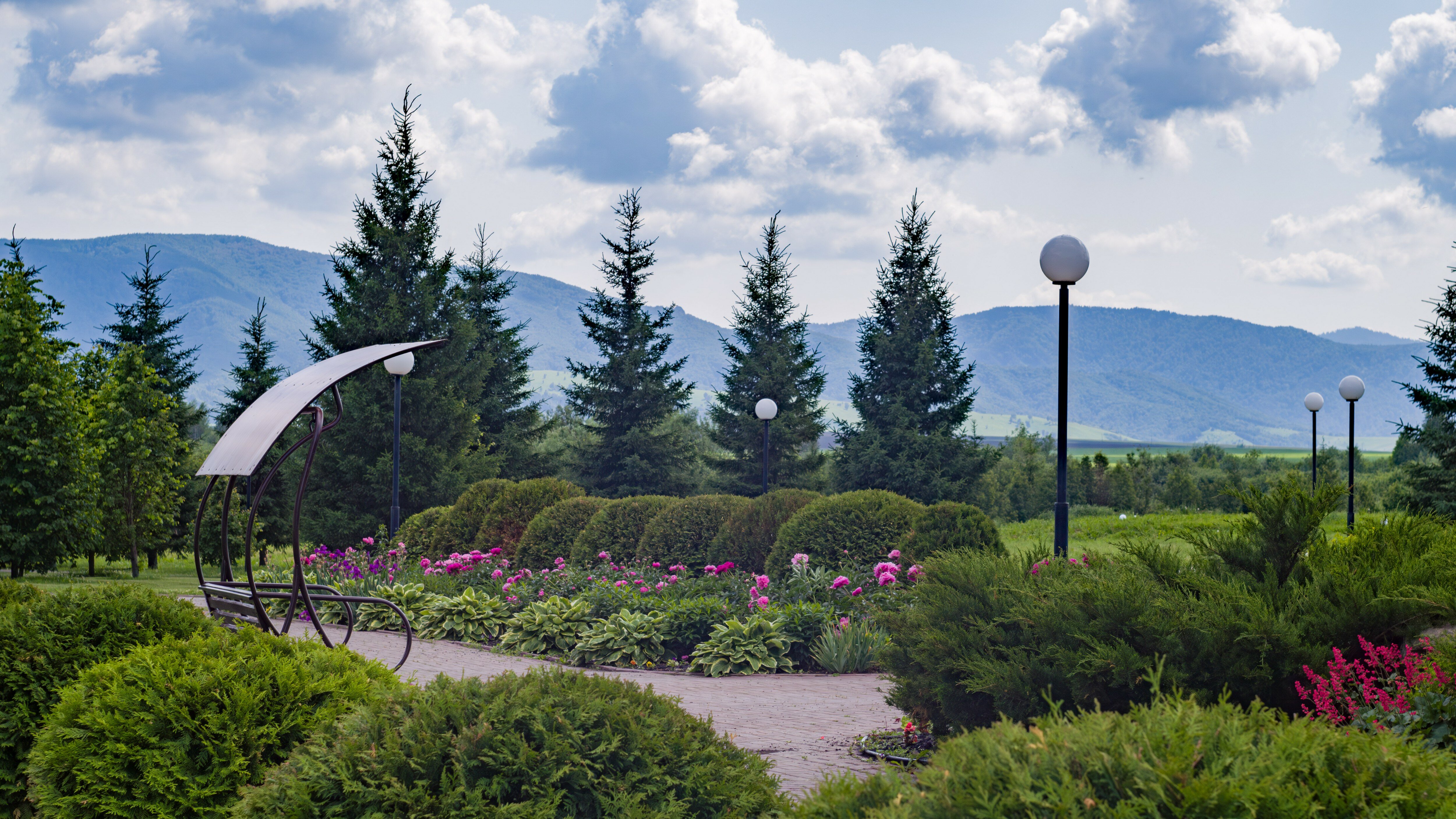 Фото Алтай Green