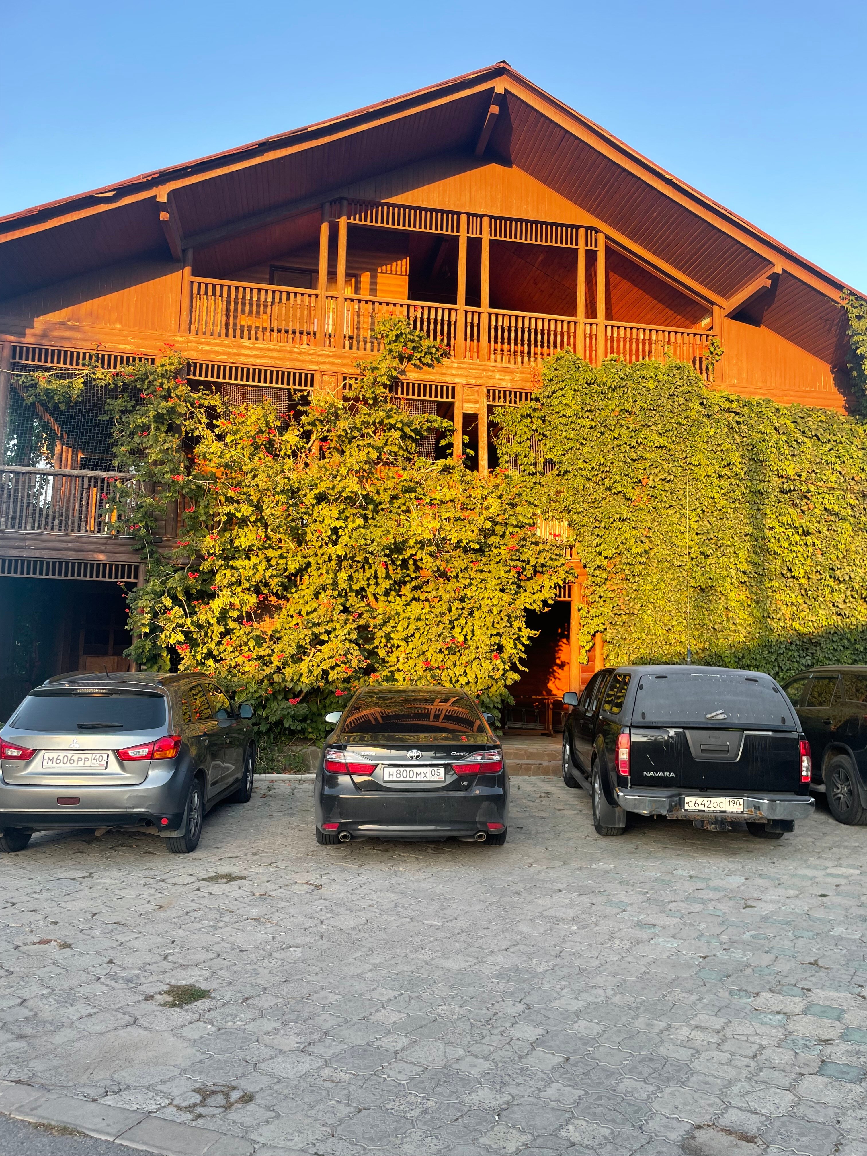 Фото Надежда