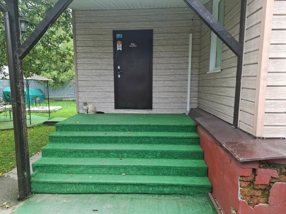 Фото Толстый кот