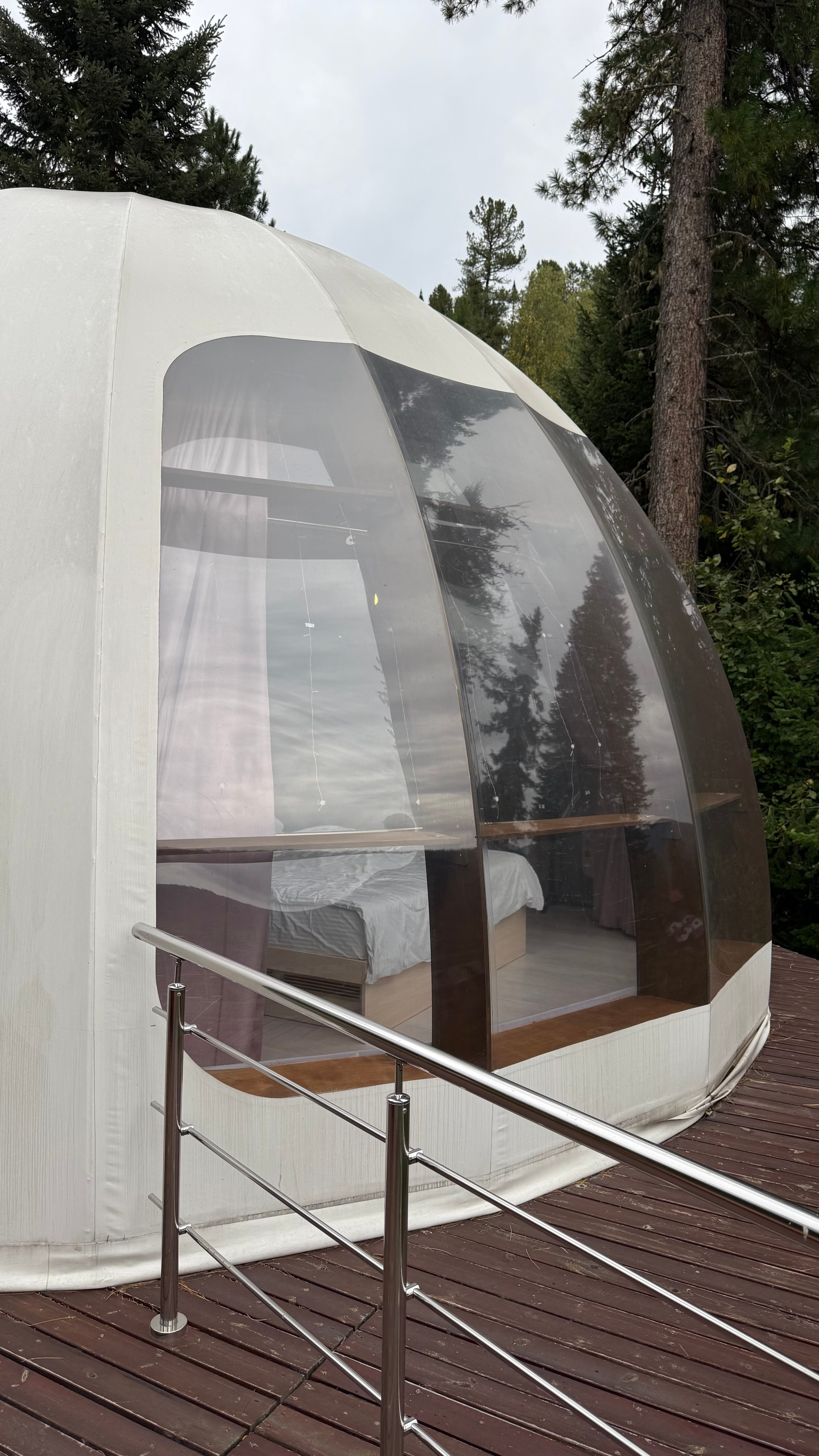 Фото Forest Glamp