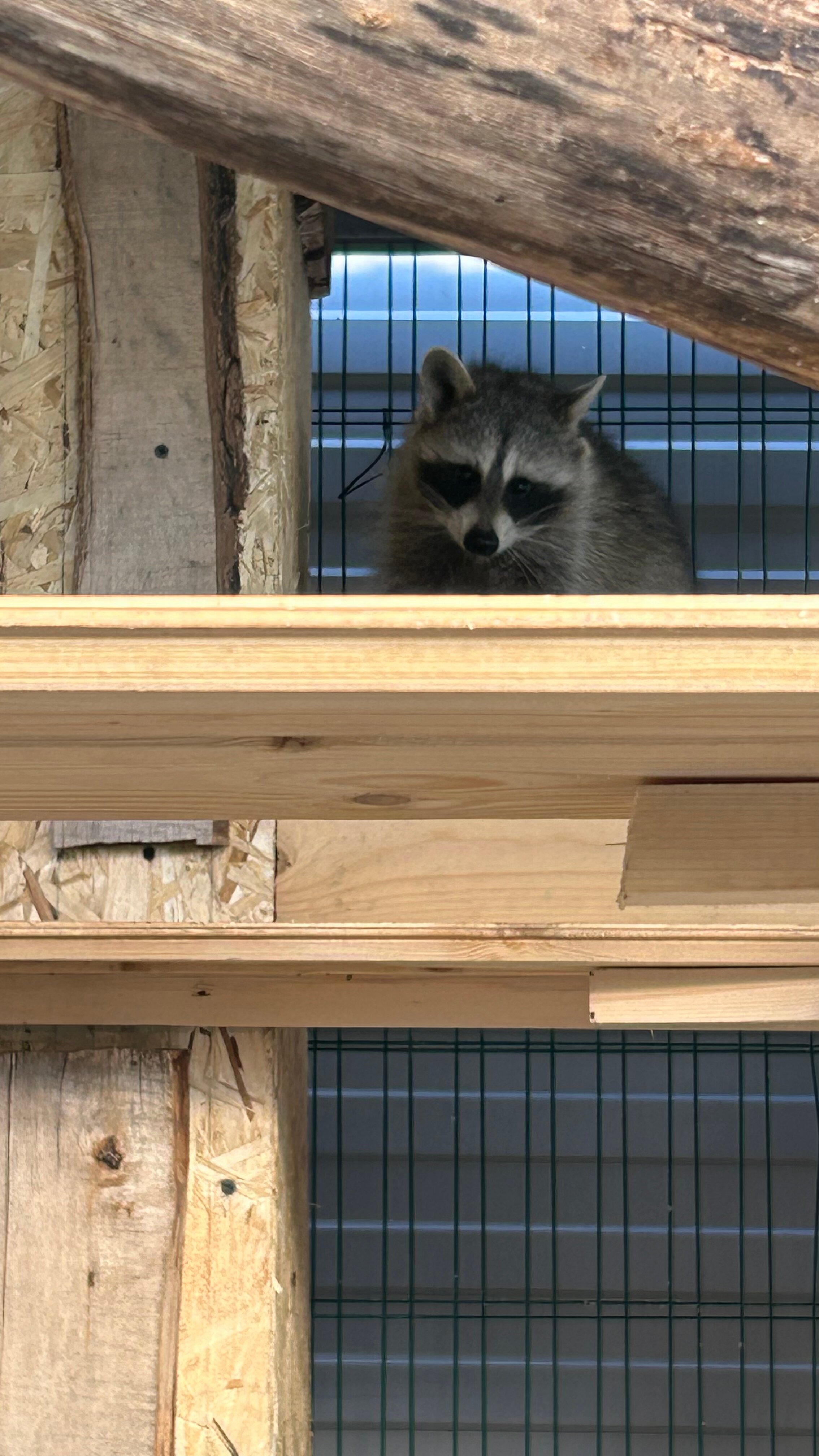 Фото ПаиАкс