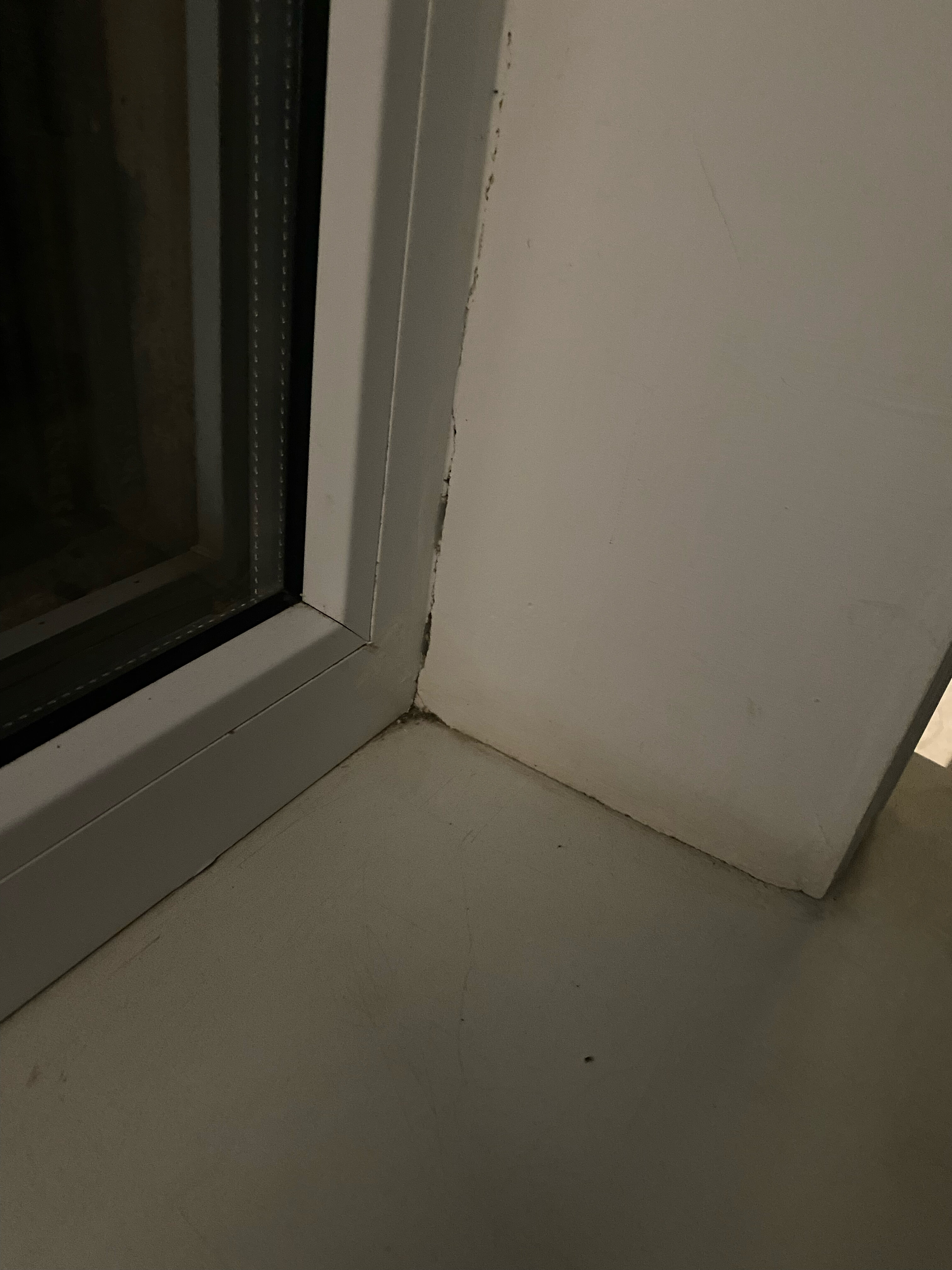 Фото Шаляпин