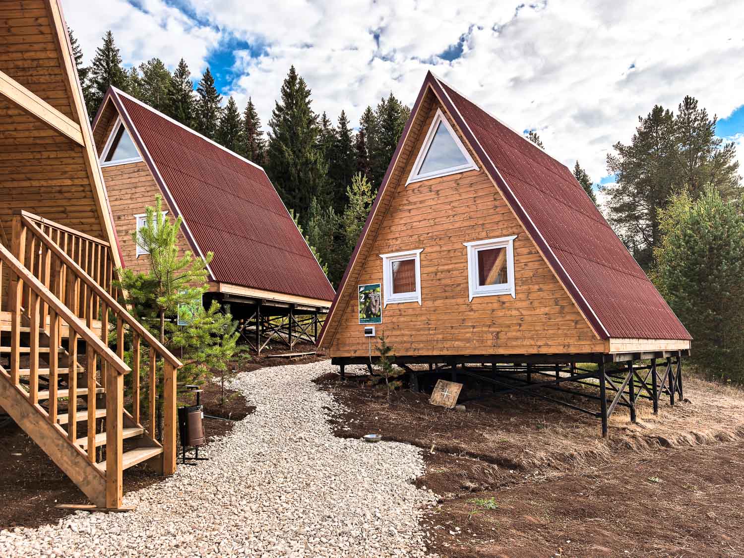 Фото Елки Иголки