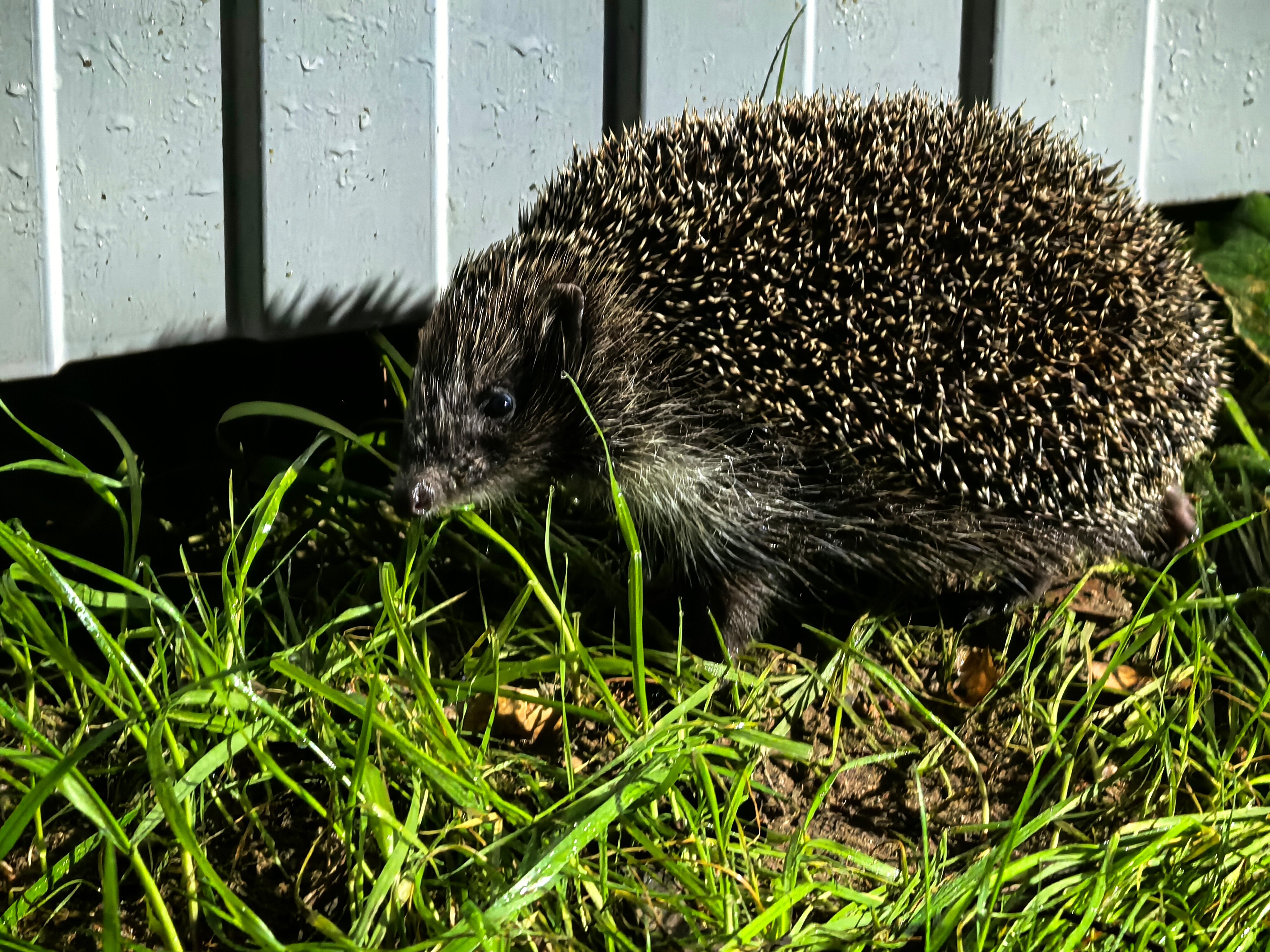Фото Райский уголок