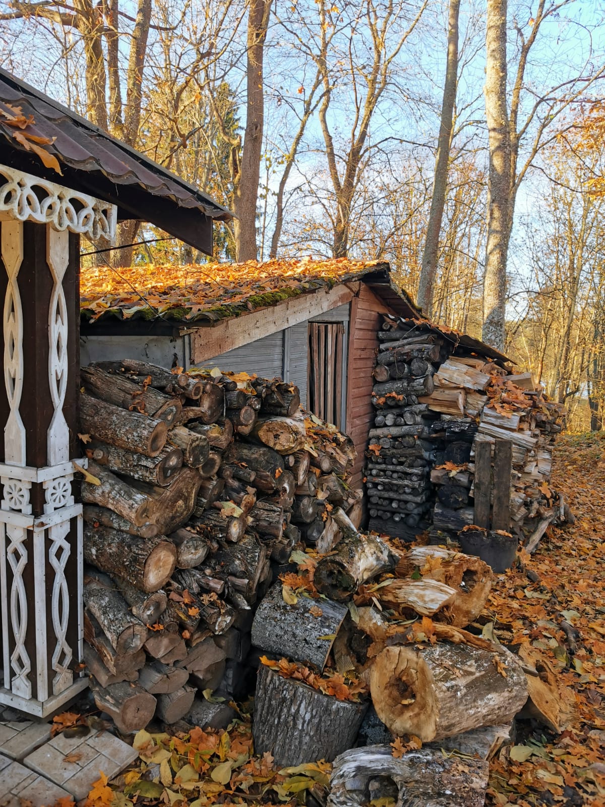 Фото Мишкина дача