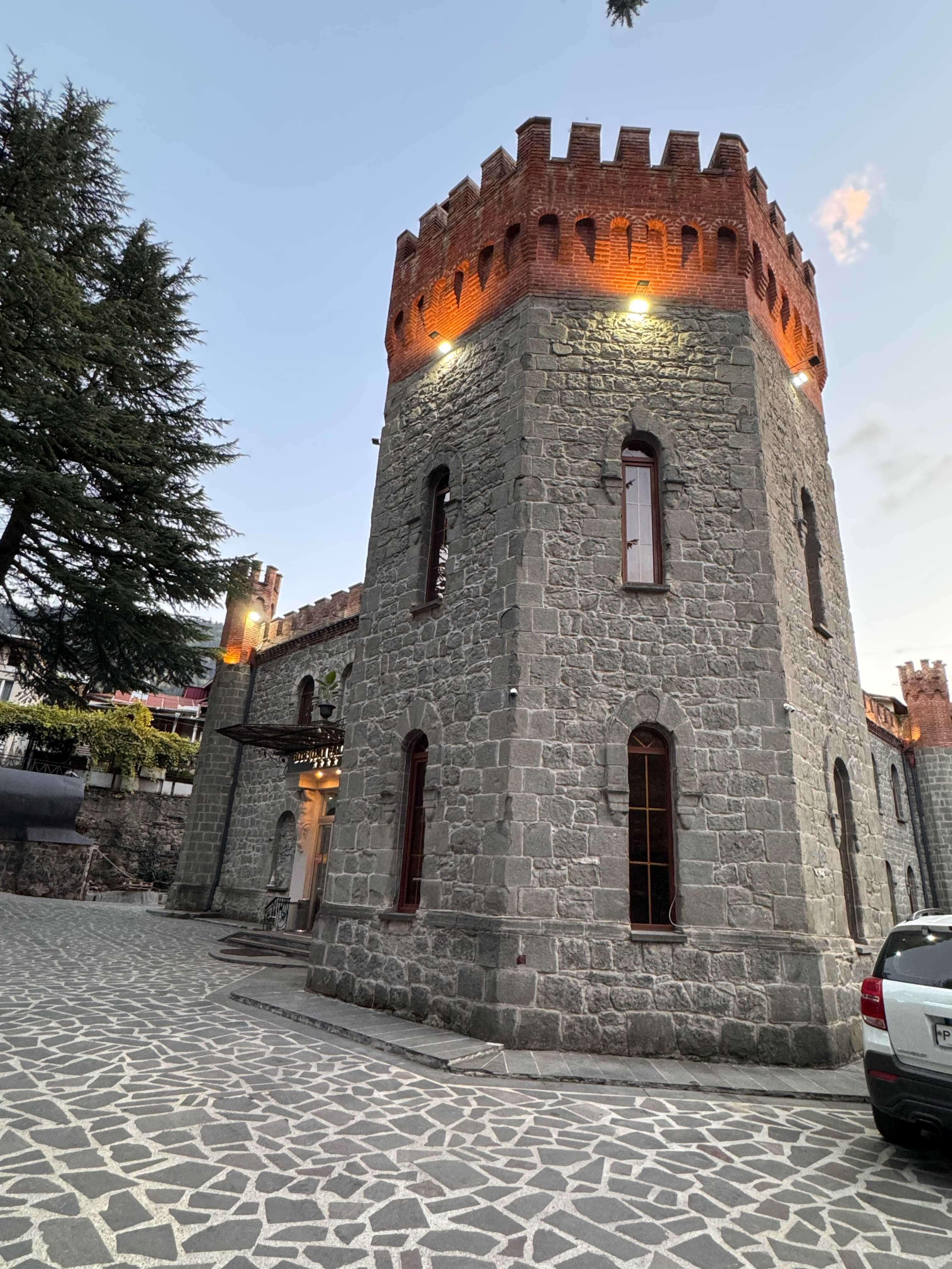 Фото Borjomi Palace