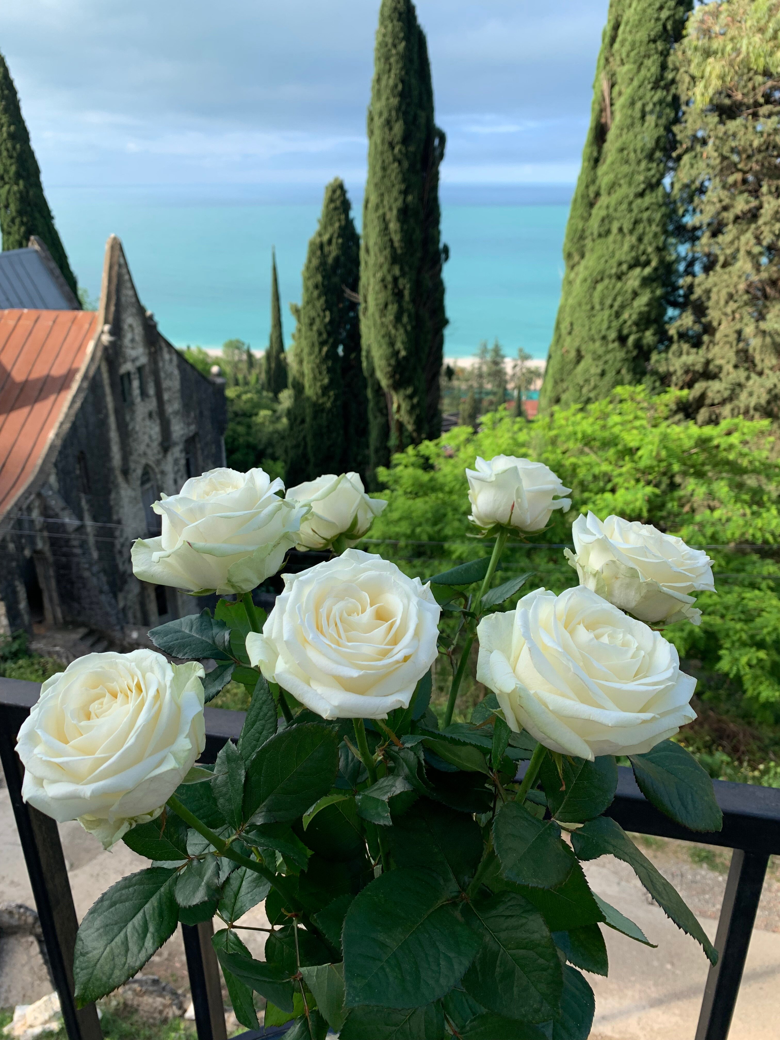 Фото Белый Сад