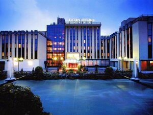 Гостиница Hotel Leon D