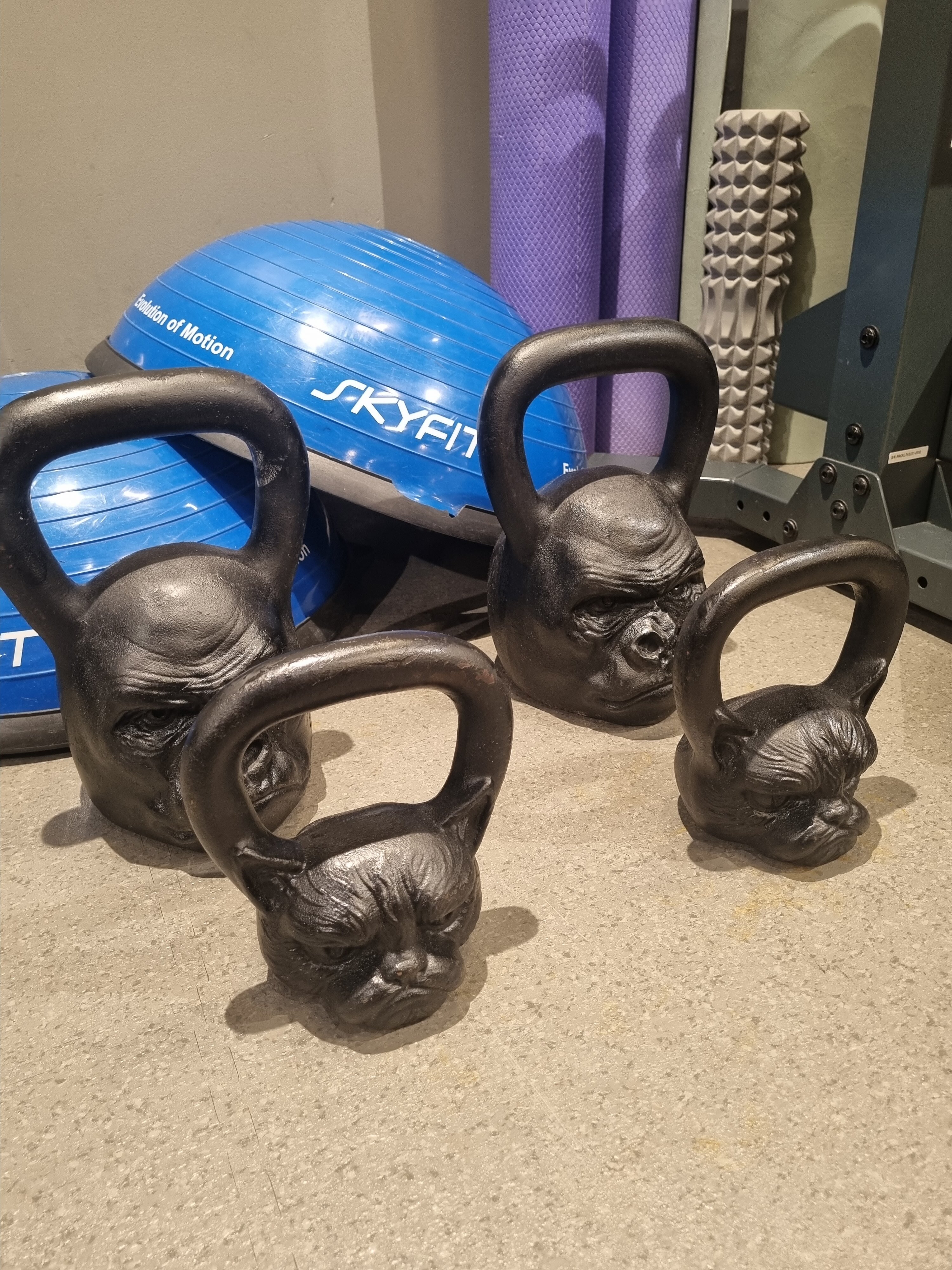 Фото FarFour Inn & Suite