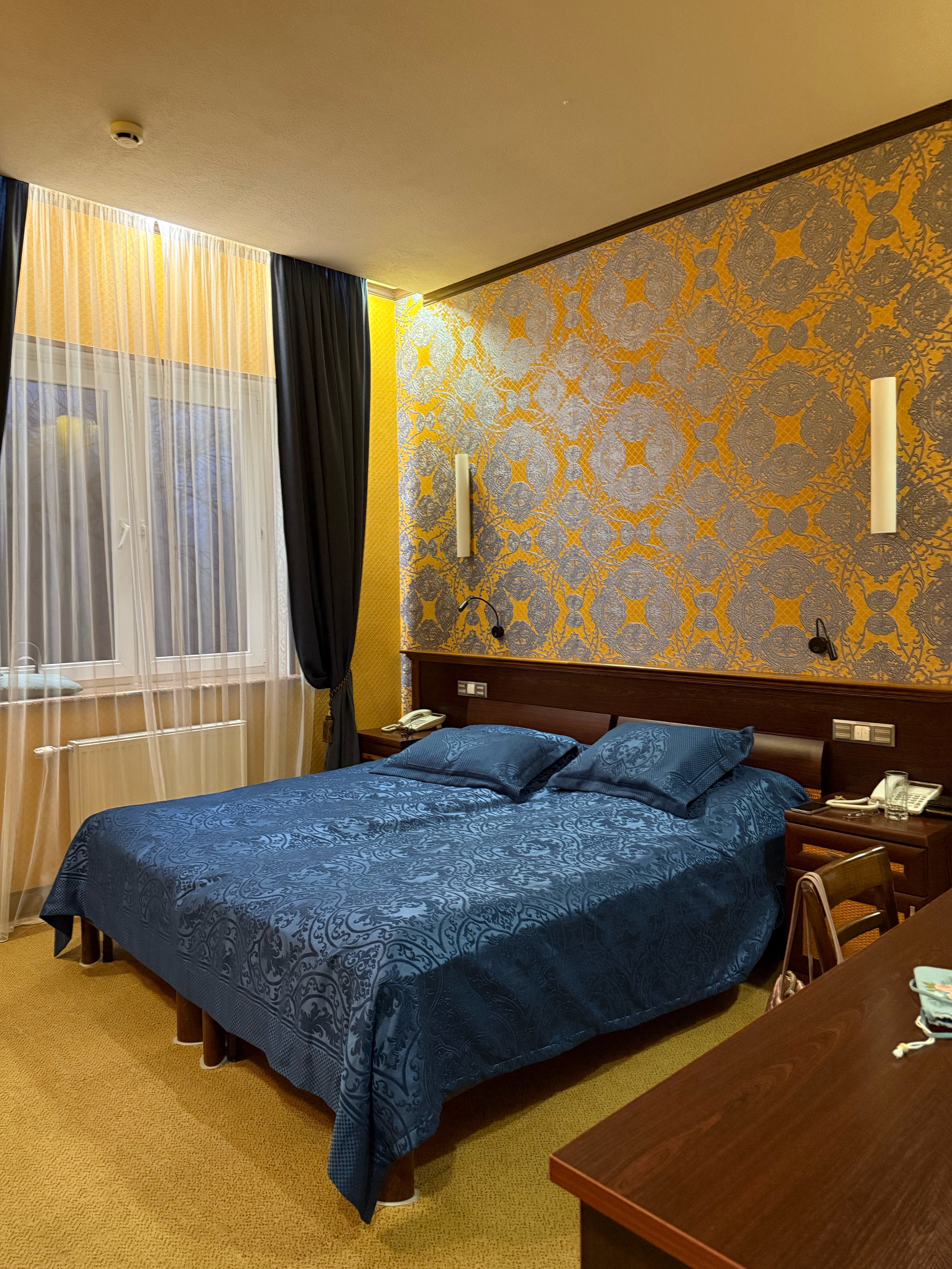 Фото Черепаха