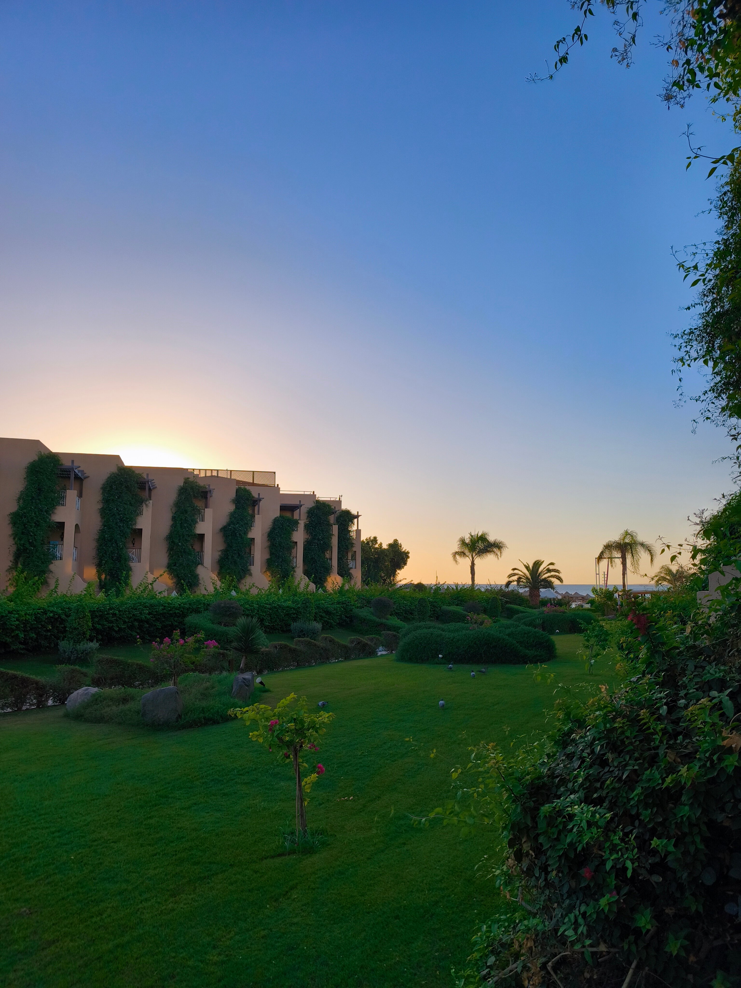 Фото Prima Life Makadi