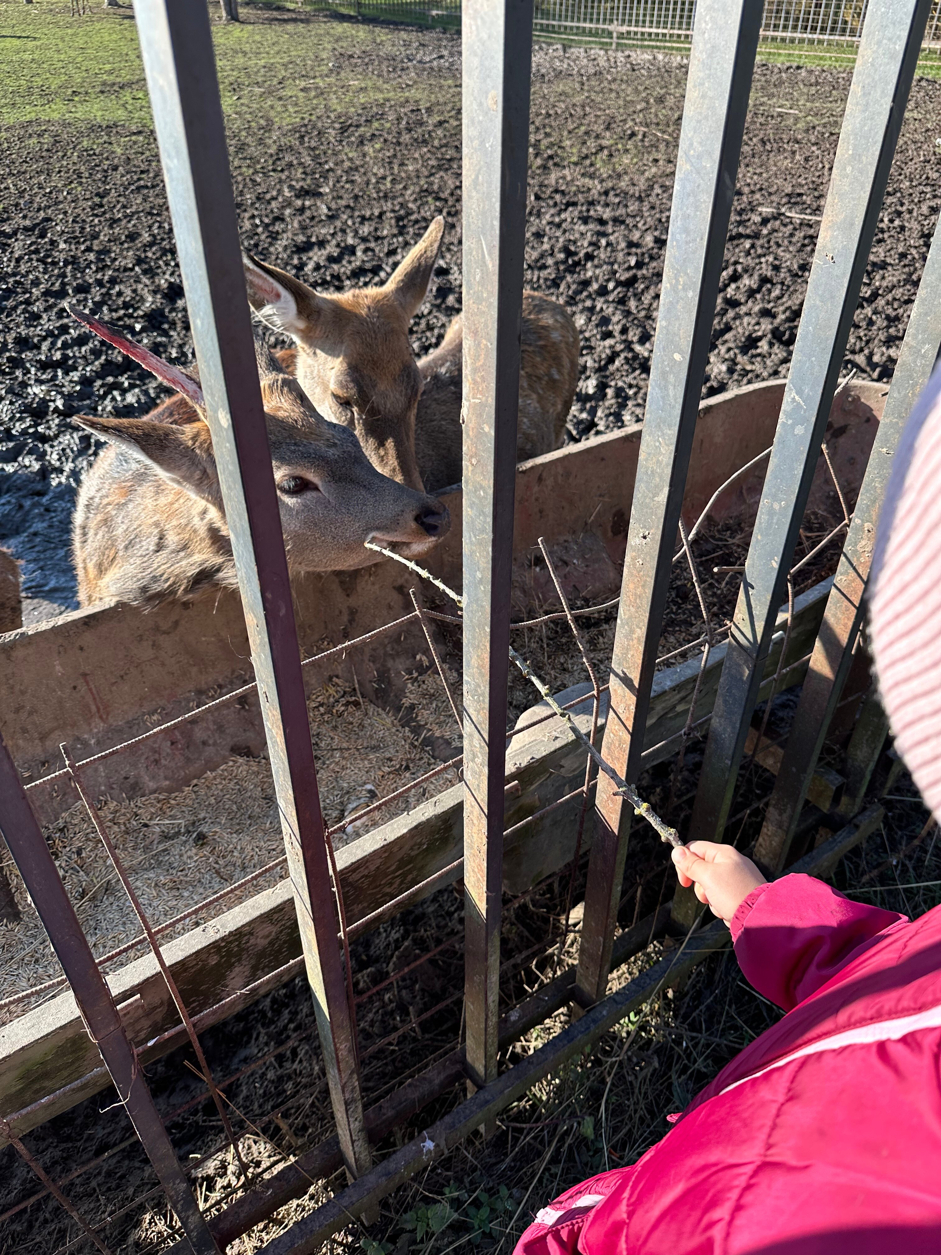 Фото Дом с характером