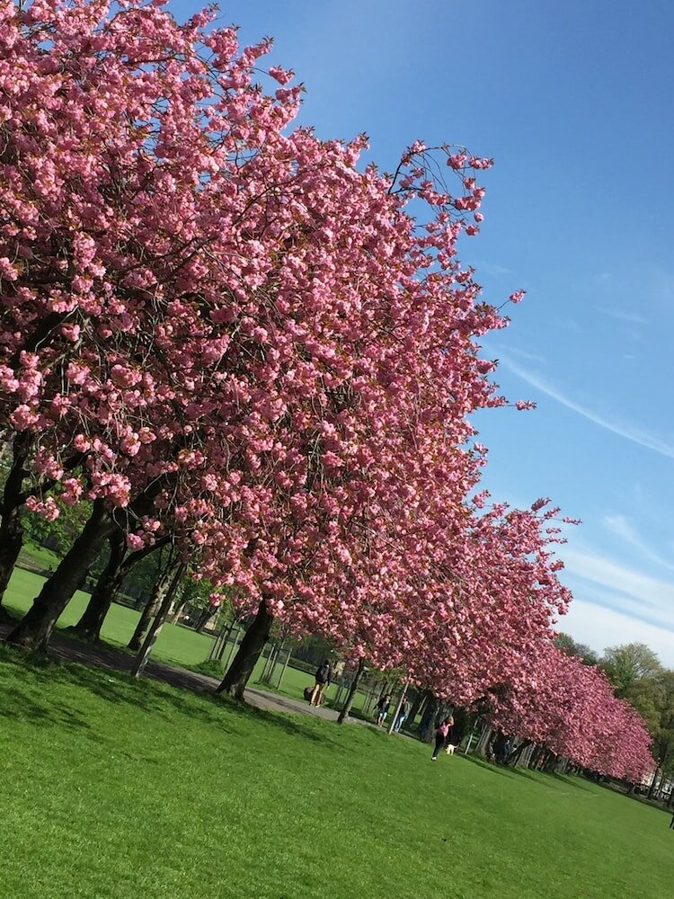 Фото Edinburgh 37