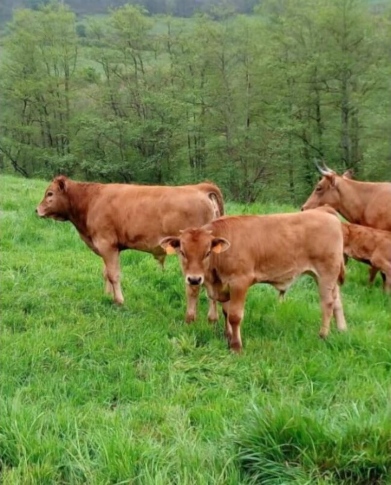 Фото Hotel Puerta del Oriente