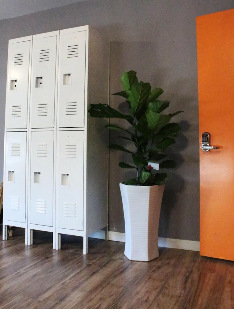 Фото Melrose Hostel