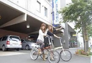 Гостиница Hotel Hashimoto