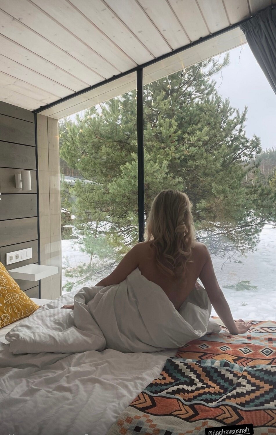 Фото Дача в соснах