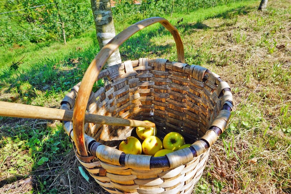 Фото Hotel Sagarlore