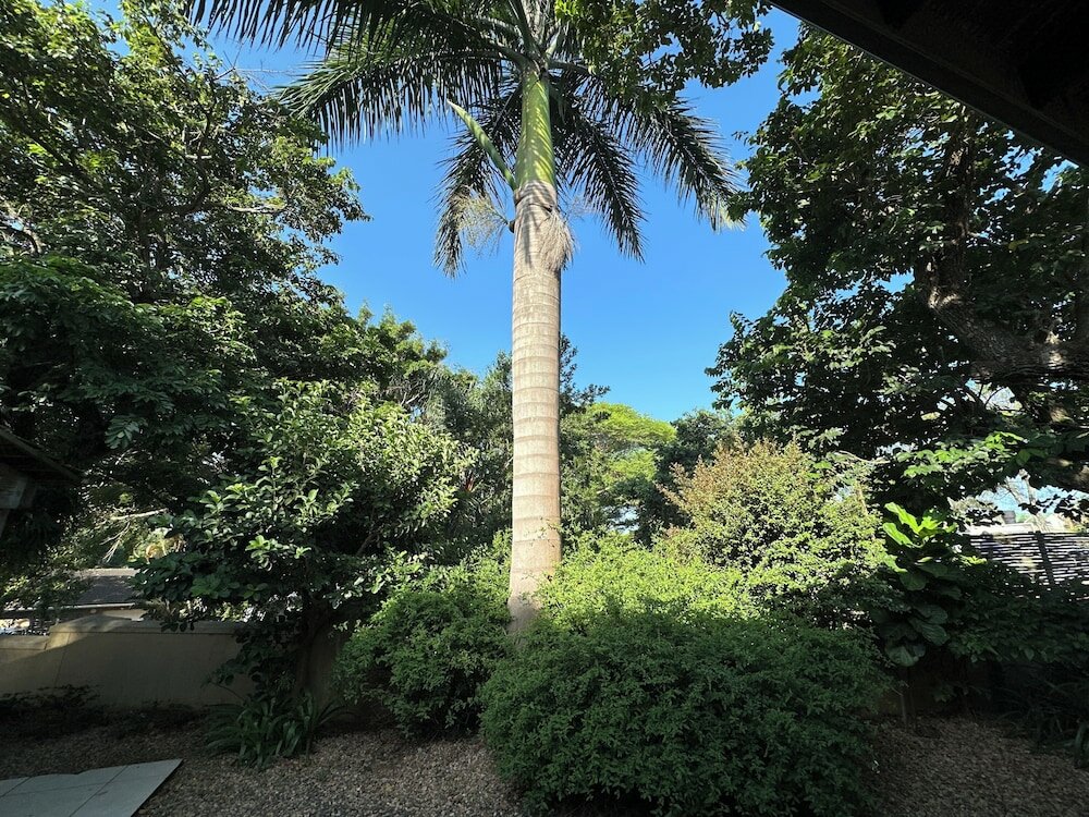 Фото Petite Provence B&b