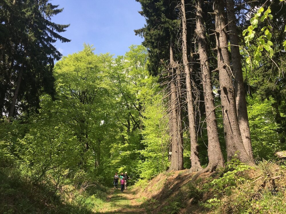 Фото Ringhotel Weißer Hirsch