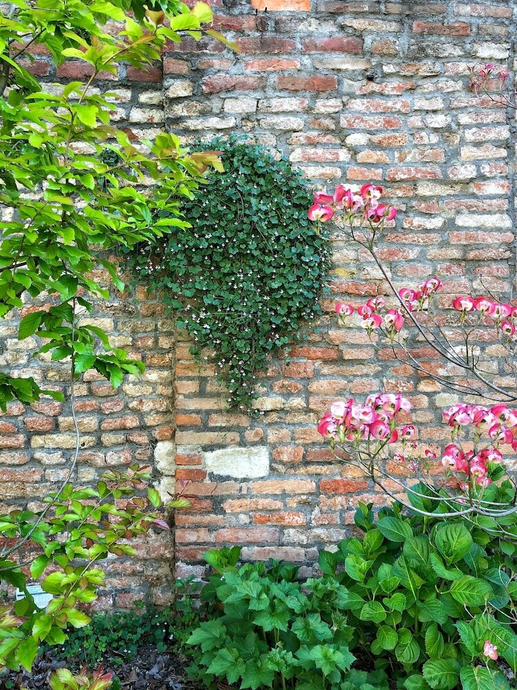 Фото Madama garden retreat