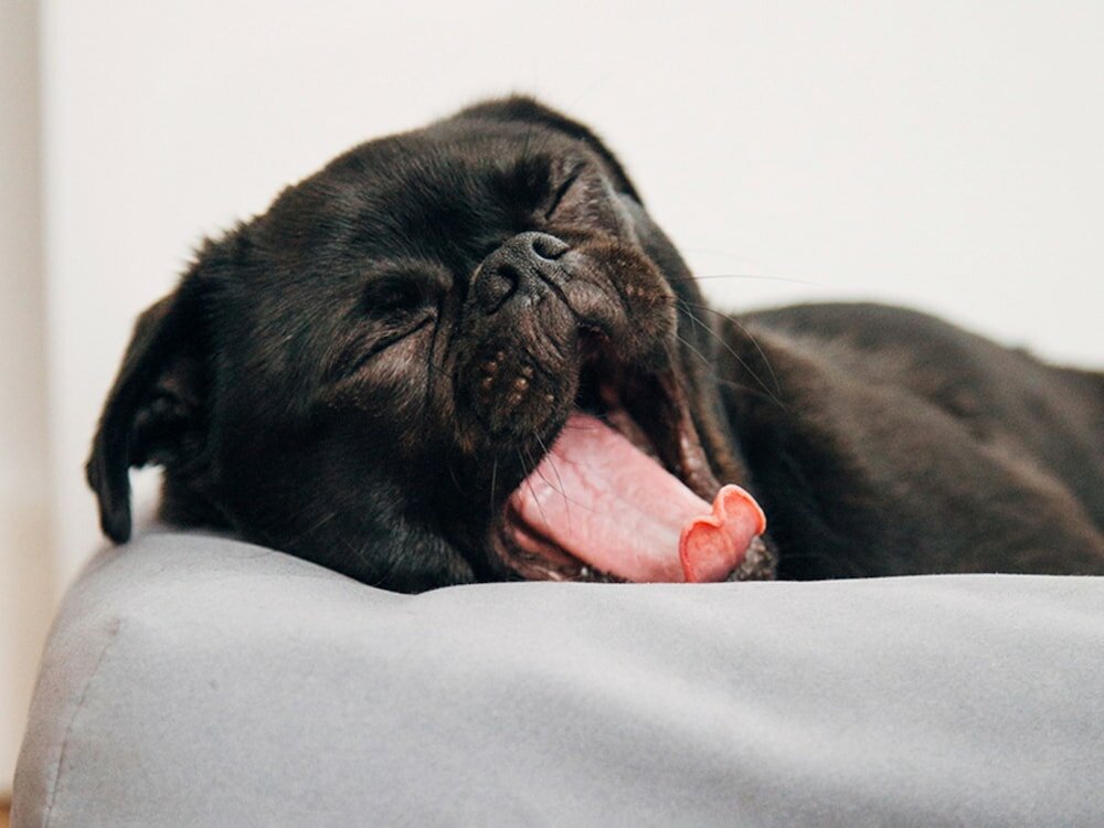 Фото Abode Narrabundah